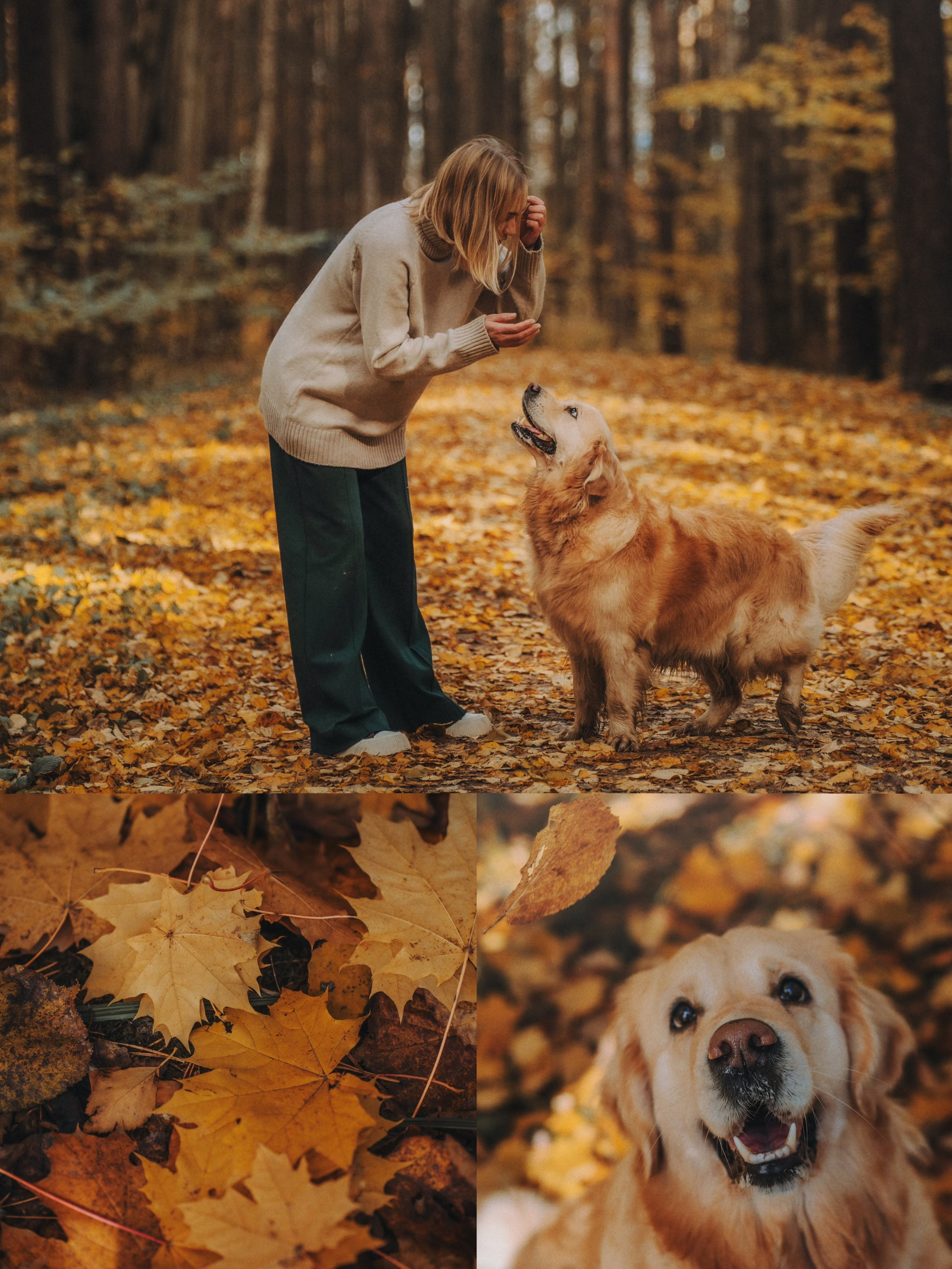Анастасия и Айза. Фотограф анималист в Москве и Санкт-Петербурге Свиридова Анна