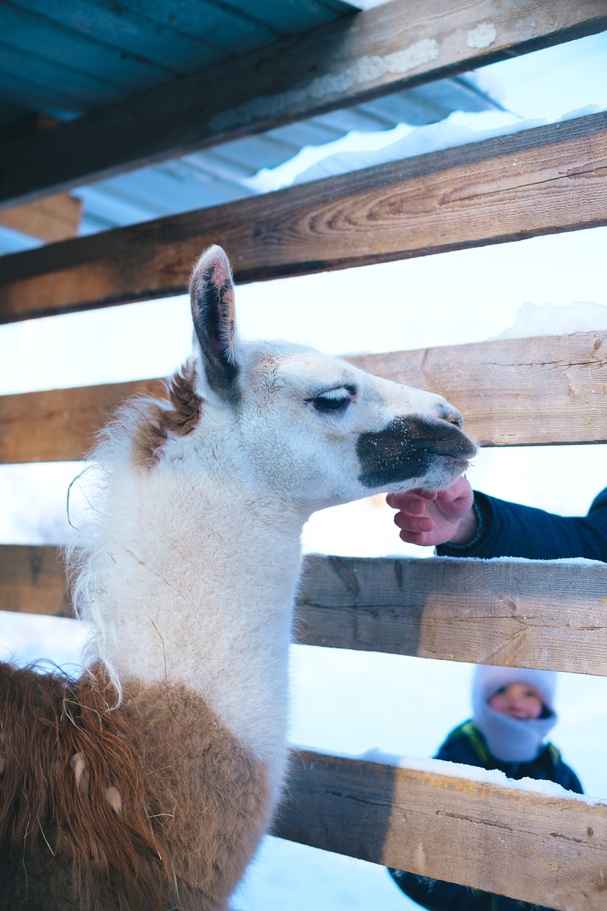 Бурейский тур. Фотограф Благовещенска Яна