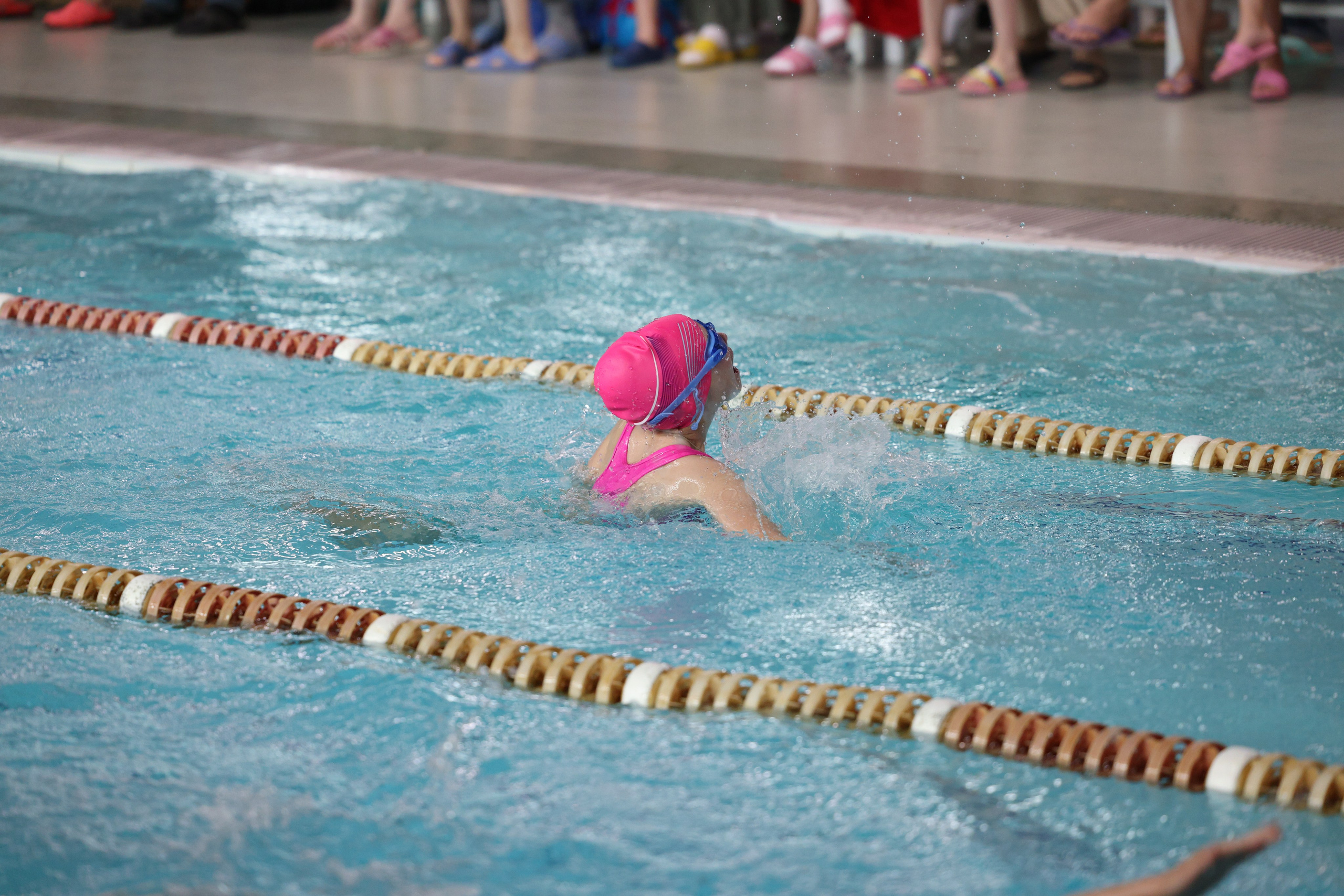 Веселый дельфин. Плавание. Дети 8-9 лет. Фотограф Александр Заломаев