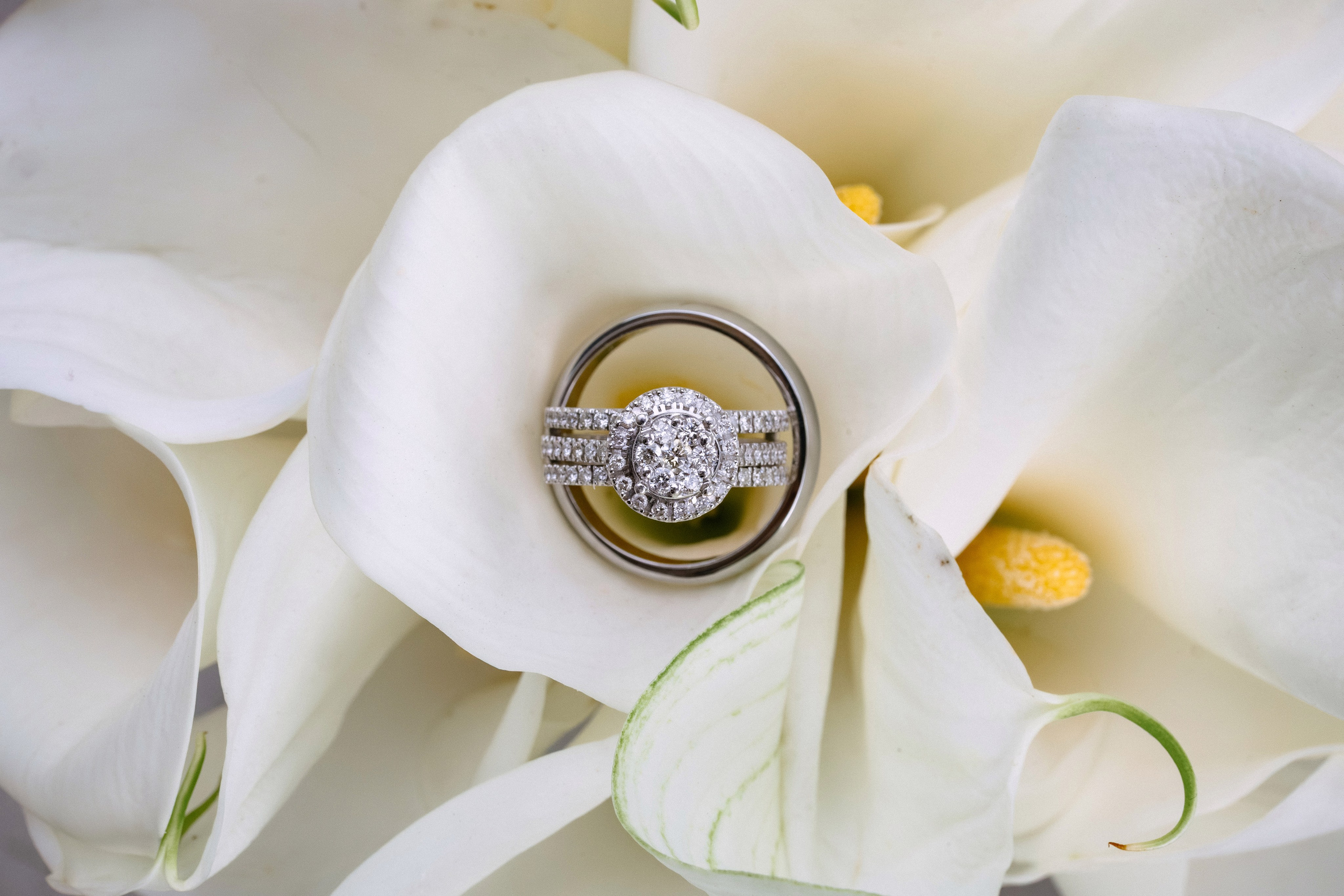 Darina & Anton. Профессиональный фотограф Нурмиева Вероника