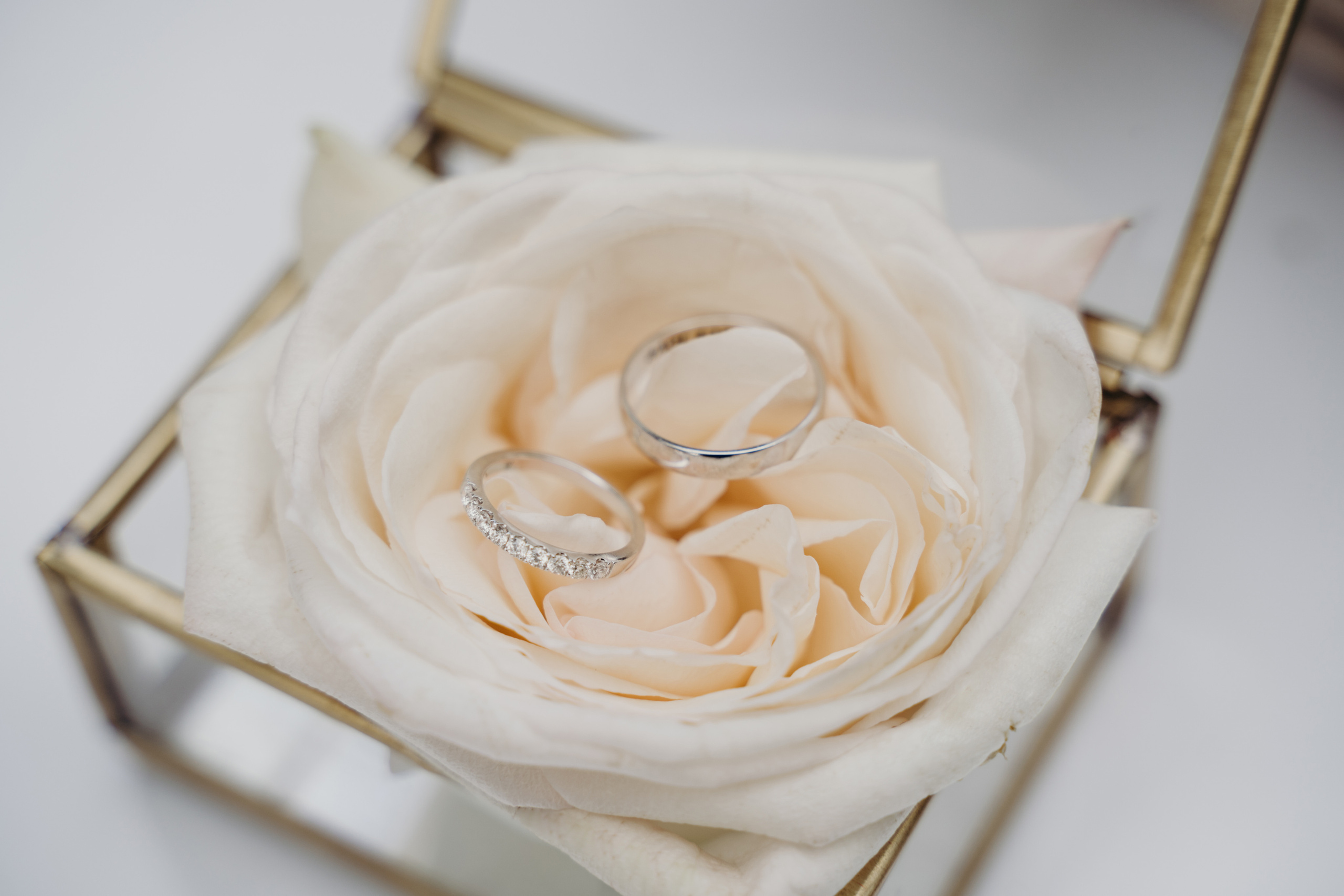 Barvikha Hotel & SPA. Свадебный фотограф Москва Александра Аверкова