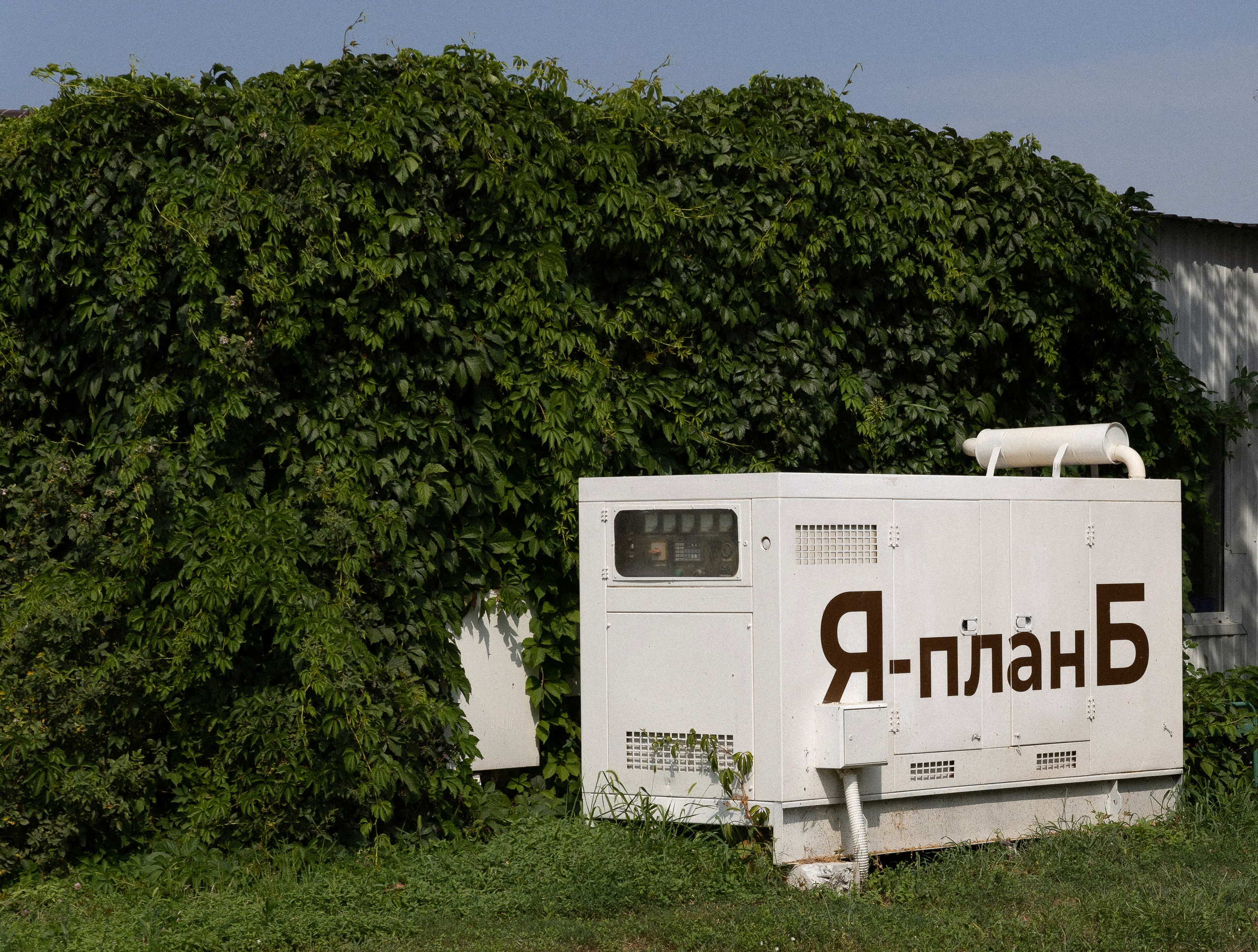 Владислав и Наталья. Свадебный фотограф