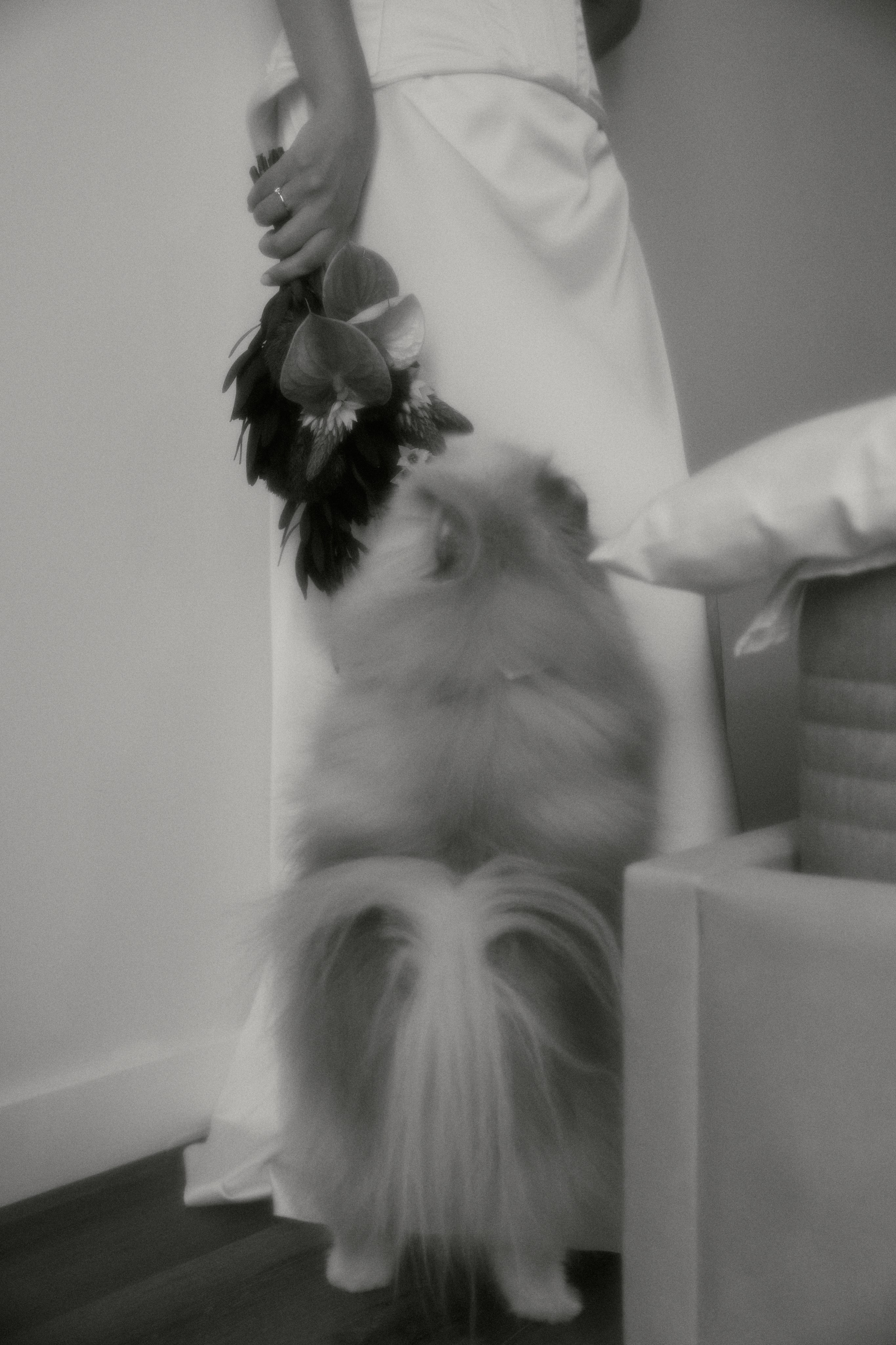 Александр + Дарья. Семейный и детский фотограф Юлия Шох