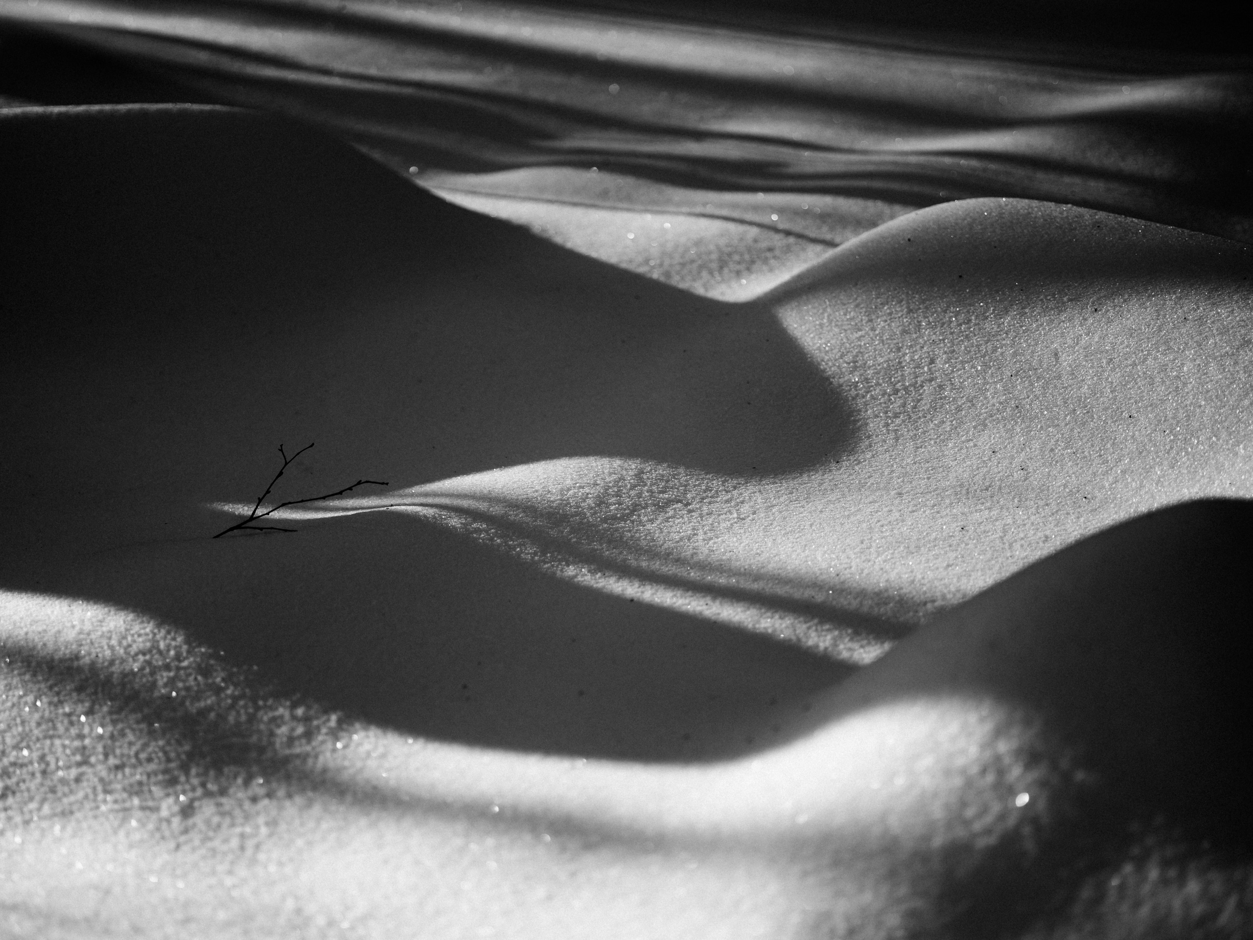 Световой дневник. Поиск неочевидного. ElizabetArt — фотограф в Воронеже Елизавета Хлусова