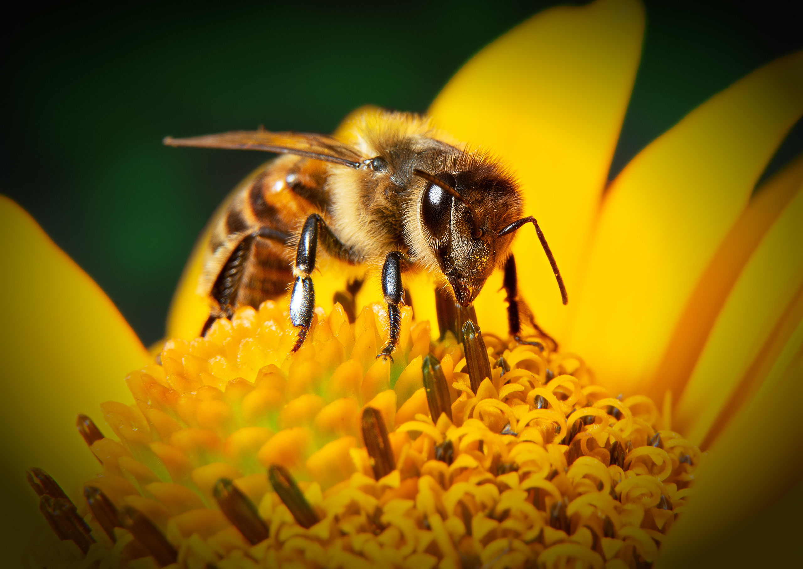 Рекламная фотография в Хабаровске. Фотография в Хабаровске фотограф Александр Давыденко