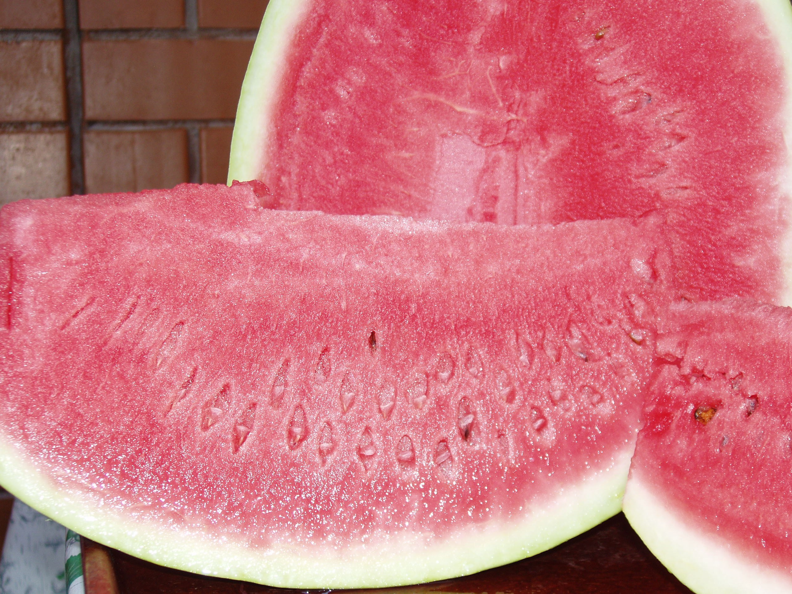 Отпуск 20.07-17.08. Семейный, Свадебный фотограф СПБ Питер— Романова Екатерина