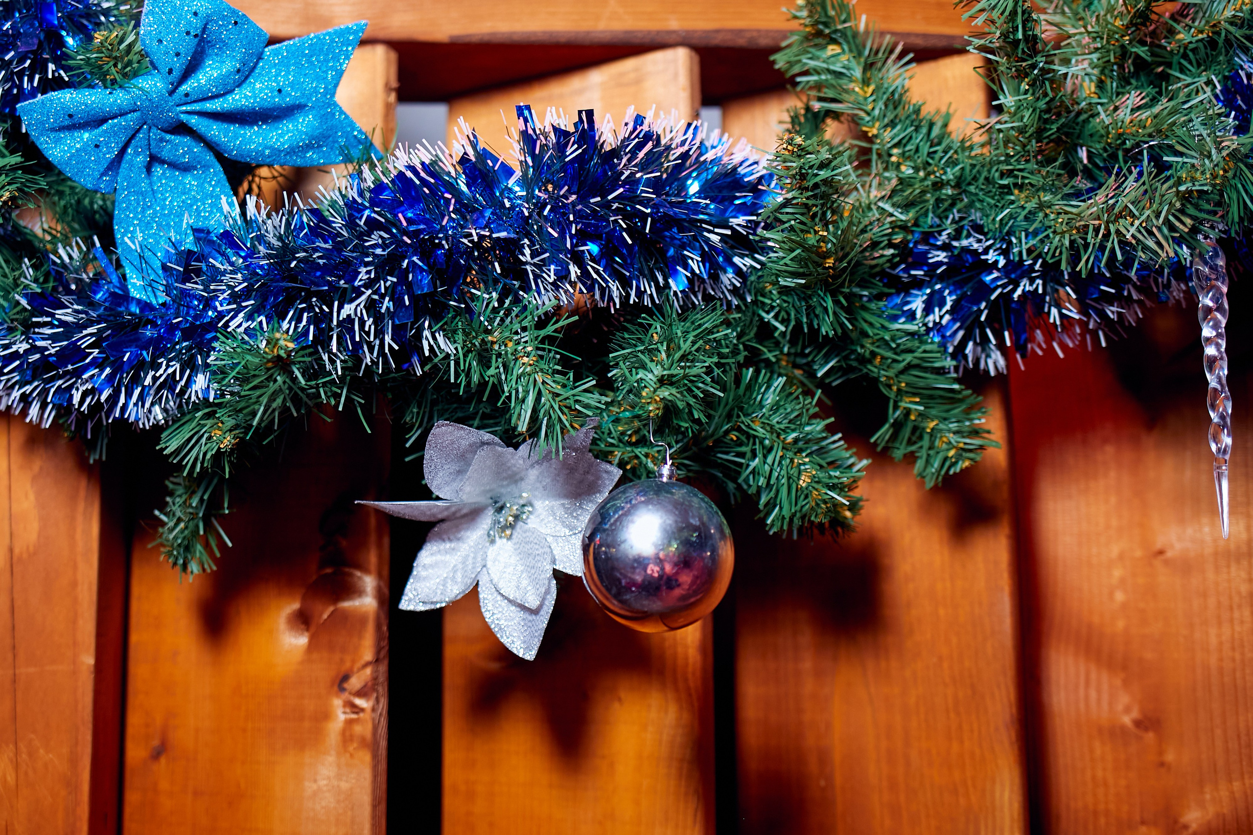 Диканька (2024.12.25). Фотограф Михаил Коган — Москва 89267284460