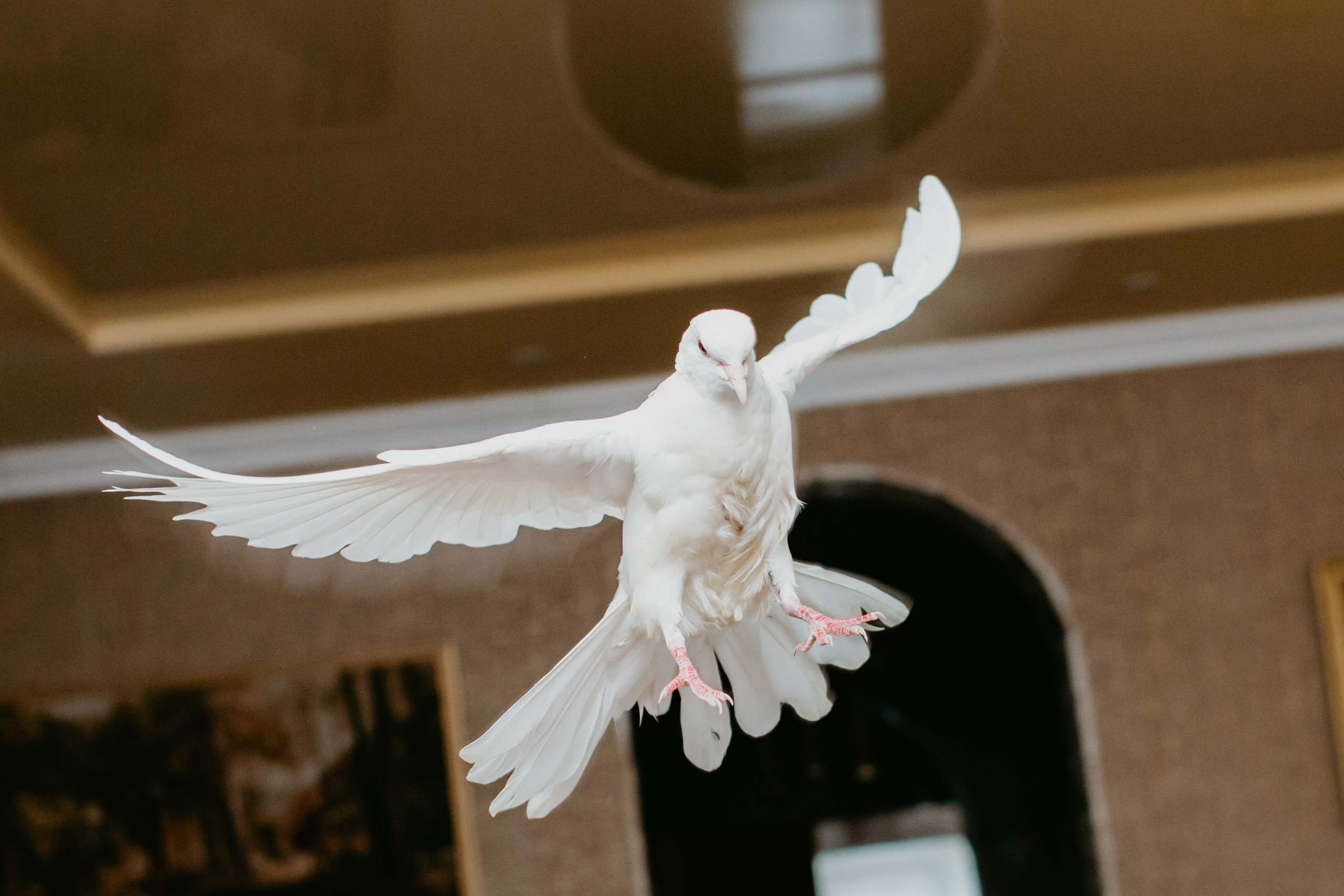 День рождение 9 лет. Фотограф в Челябинске Ополихина Анна