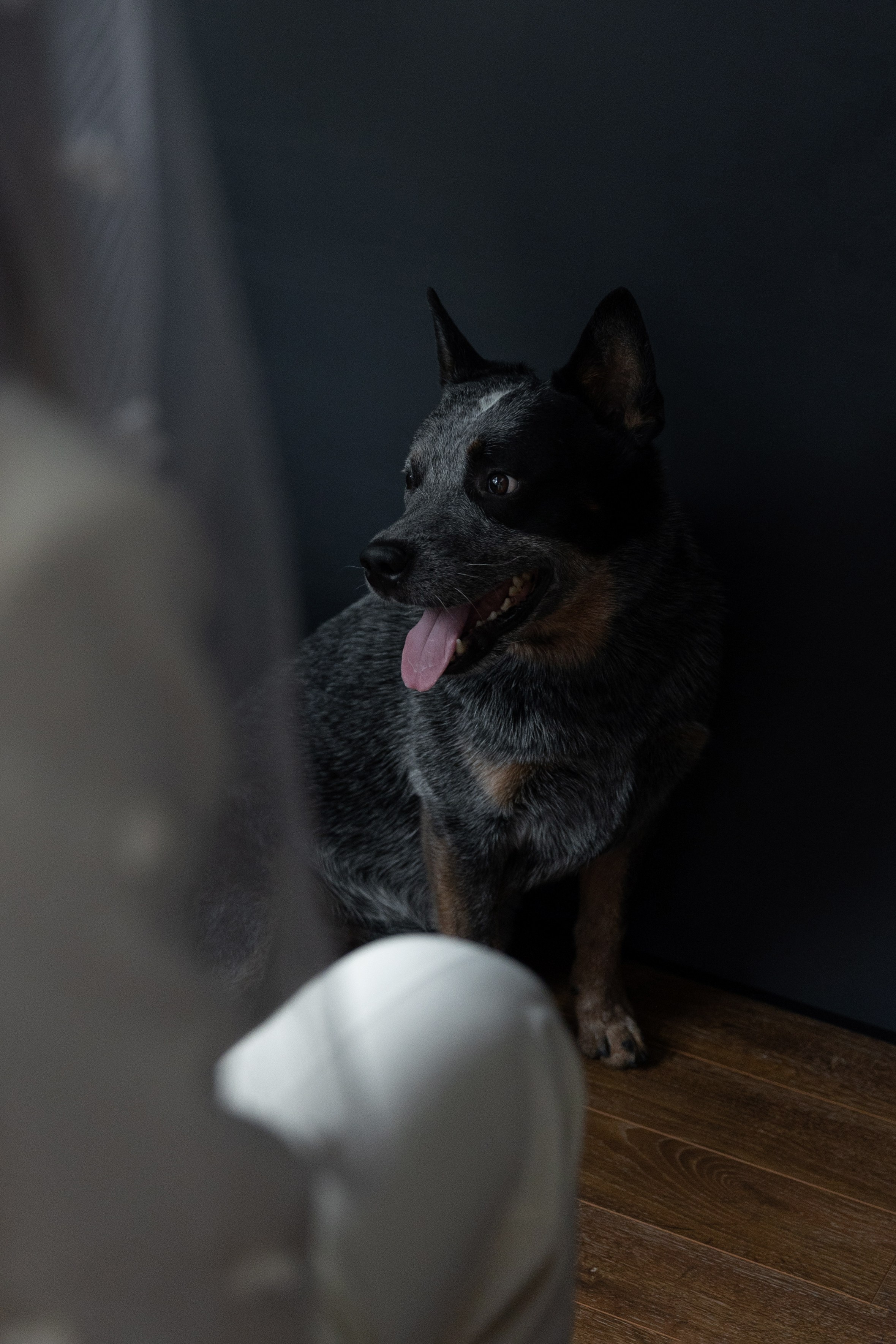 Андрей и Лена. Обо мне