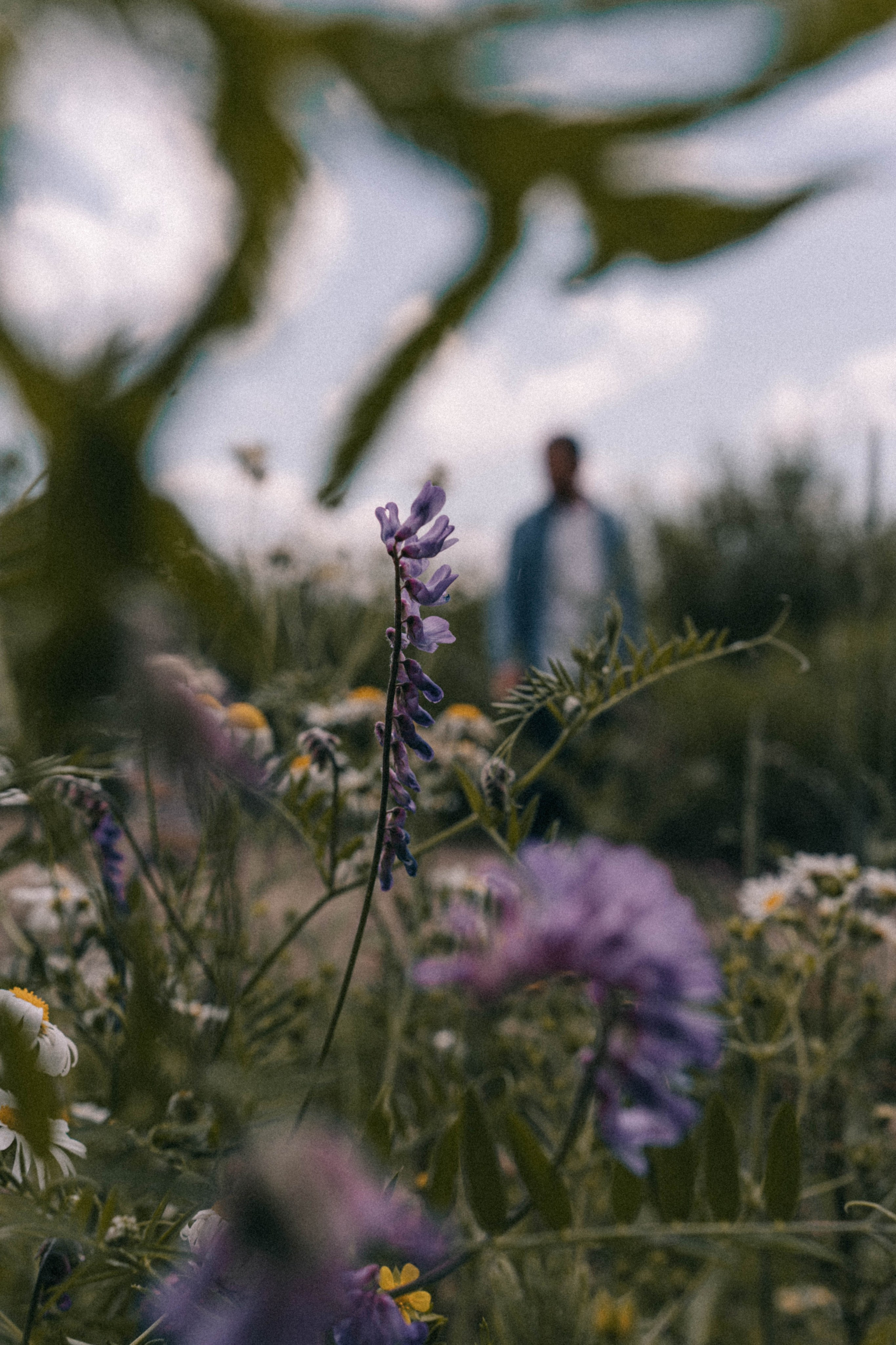 До луны и обратно. Семейный и свадебный фотограф