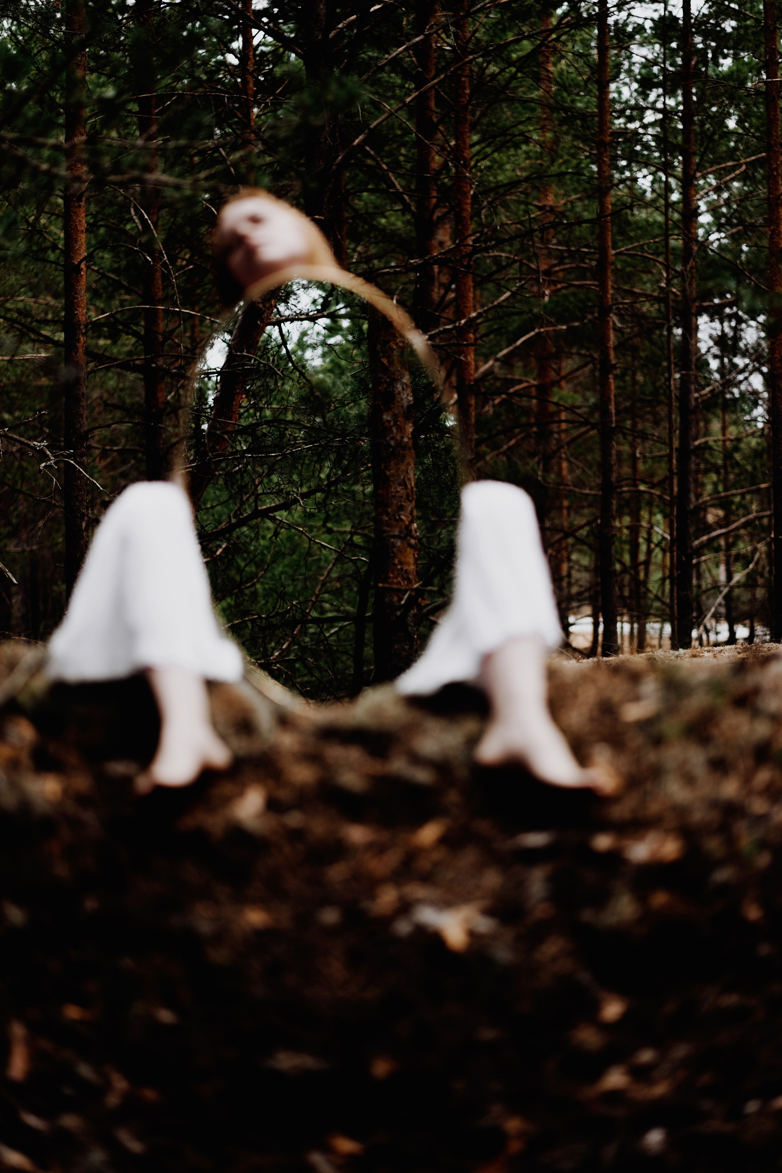 Волшебный лес. Фотограф в Нижнем Новгороде Алексей Уковский