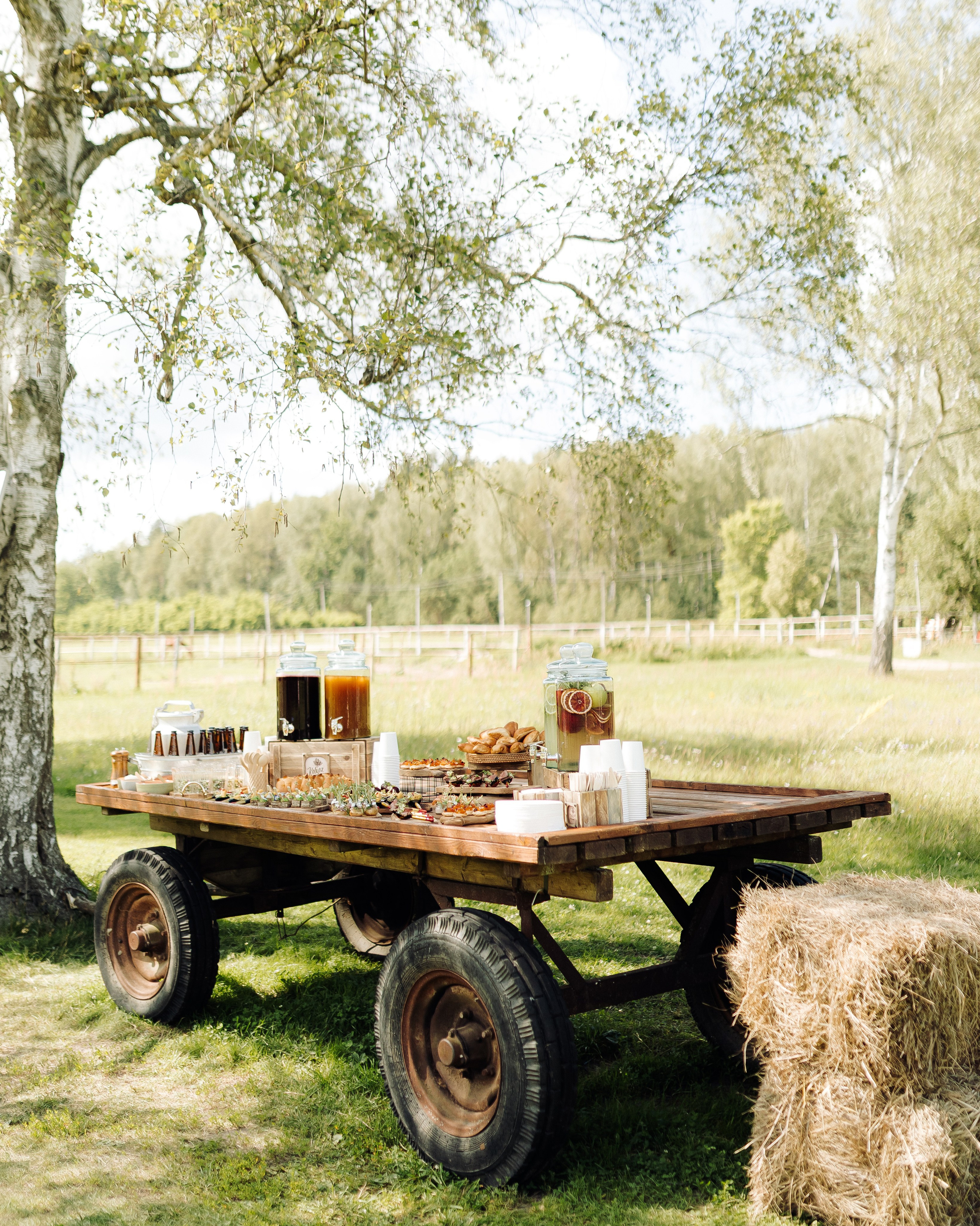 Илья да Вероничка. Свадебный и портретный фотограф в Москве Анна Плавская