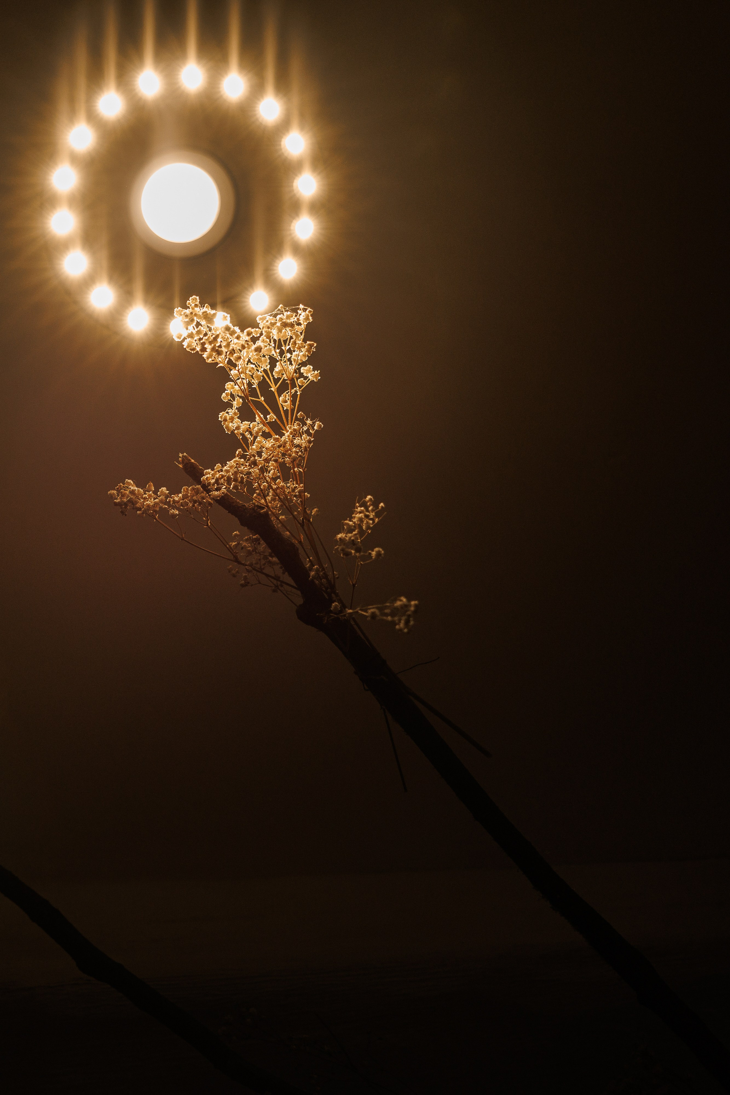 O & E. Свадебный и event-фотограф Иван Волнухин