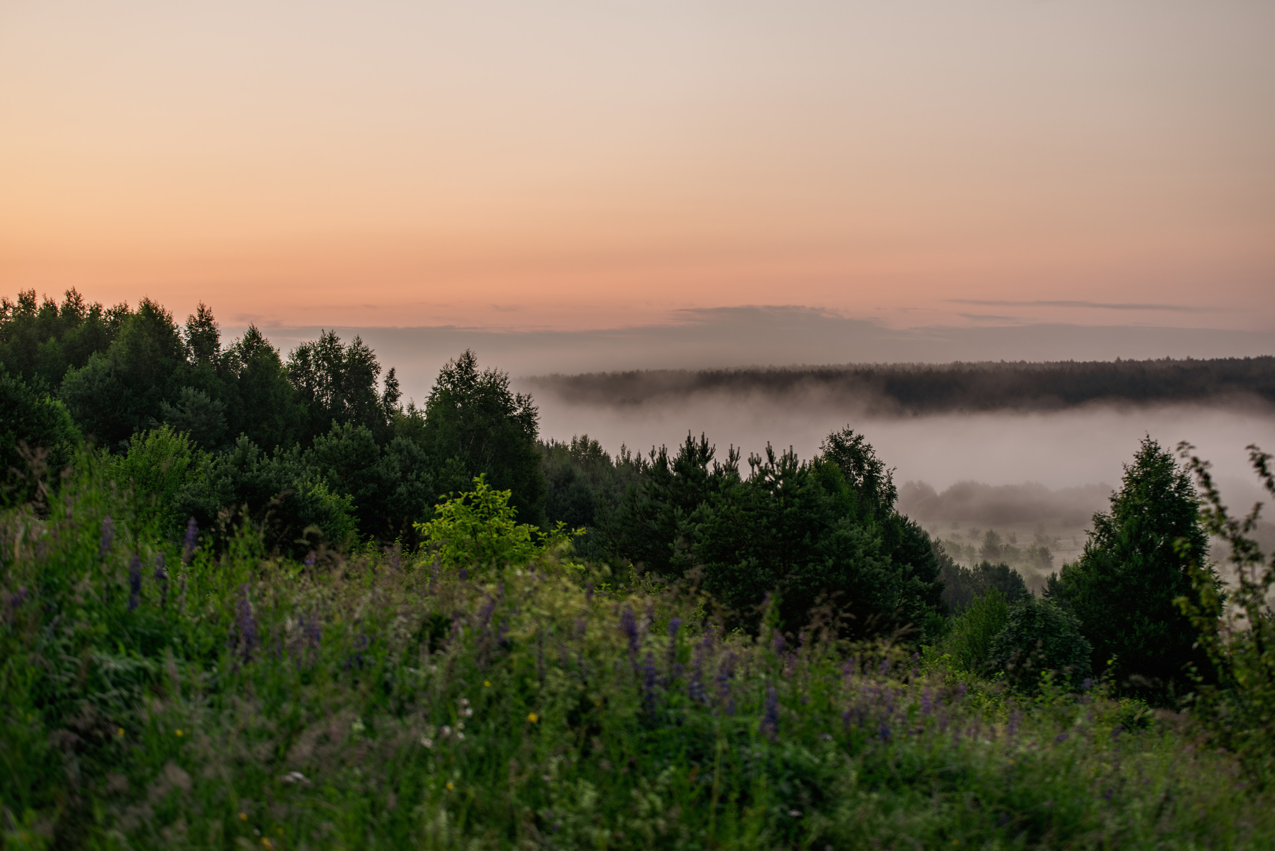Туманное летнее утро. Фотограф в Ветлуге Сергей Белов (VETLUGA B.S.)