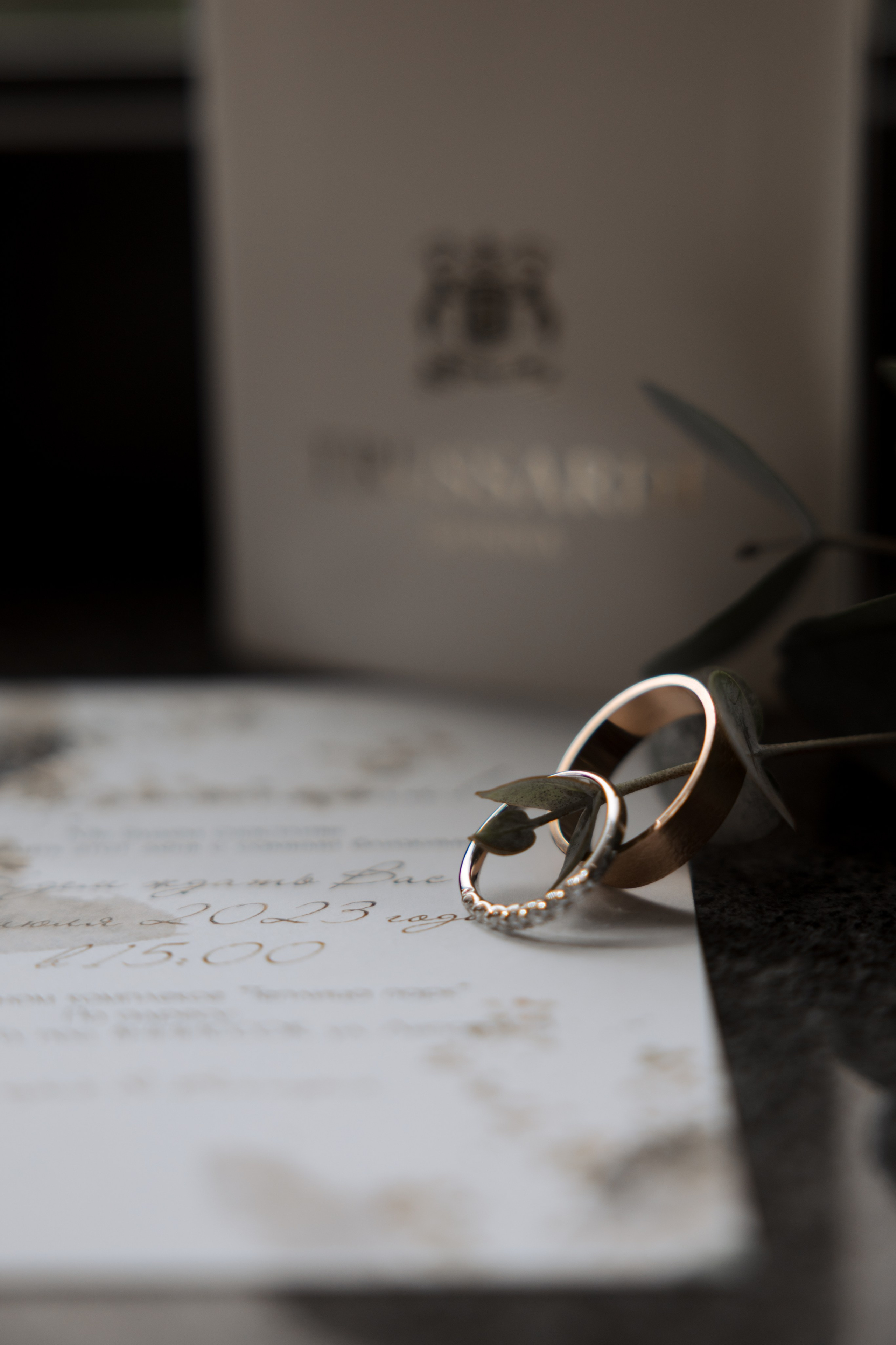 МЫ ЖЕ НА ТЫ. Фотограф Наталия Бирюкова