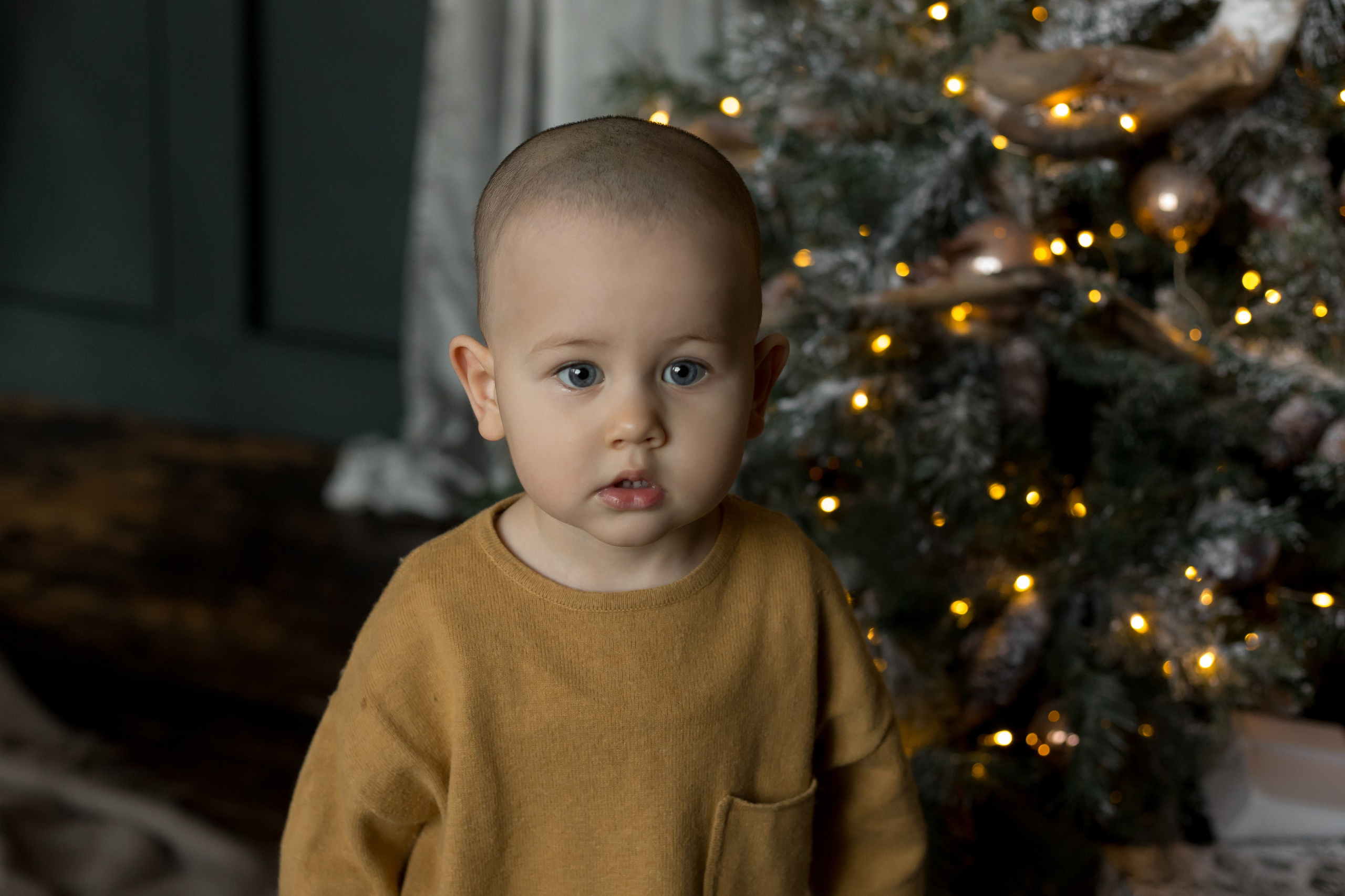 Сергей, Кристина и Ярослав новогодняя. Свадебный и семейный фотограф Марина Злочевская