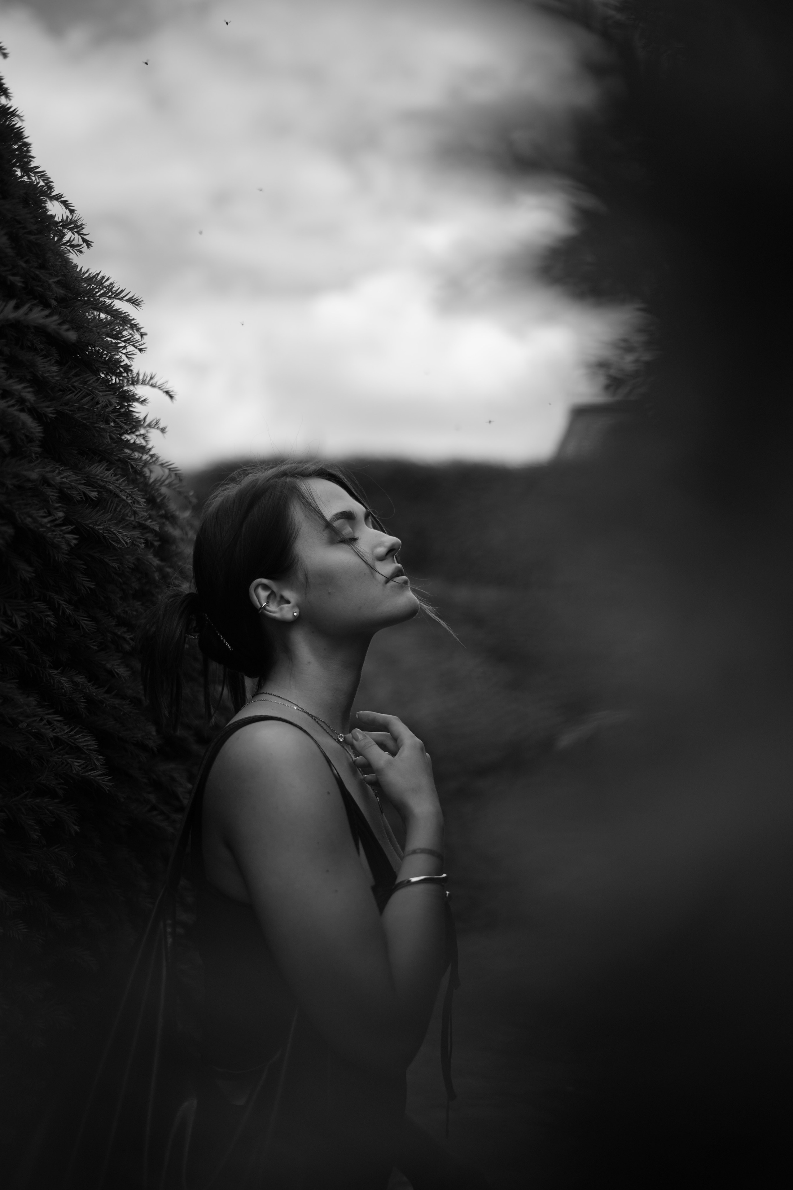 Галерея. Beardy Pix