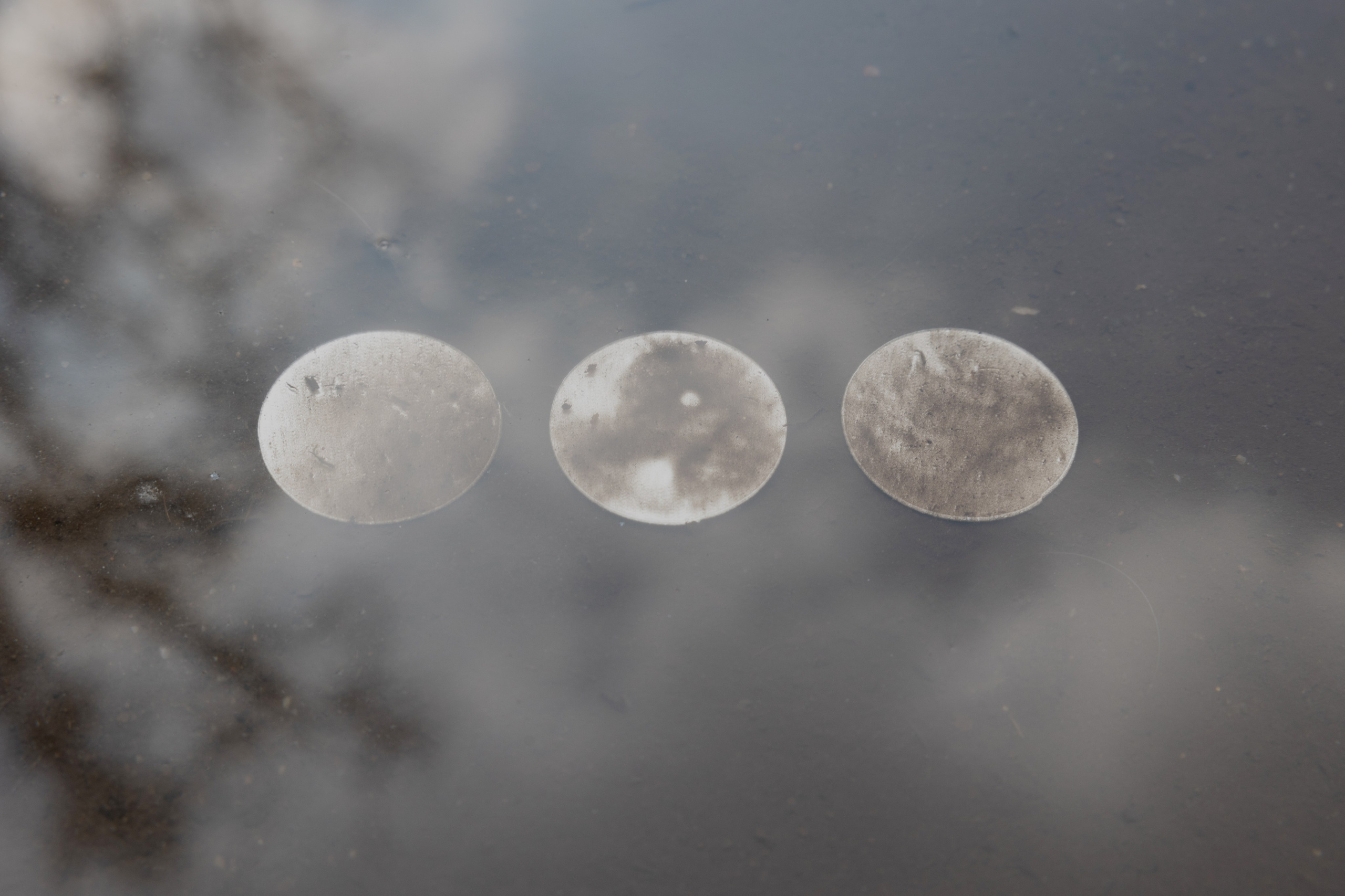 Пейзаж в интерьере | Interior landscape. Фотограф алина стерхова, алина стерхова фотограф, фотограф москва