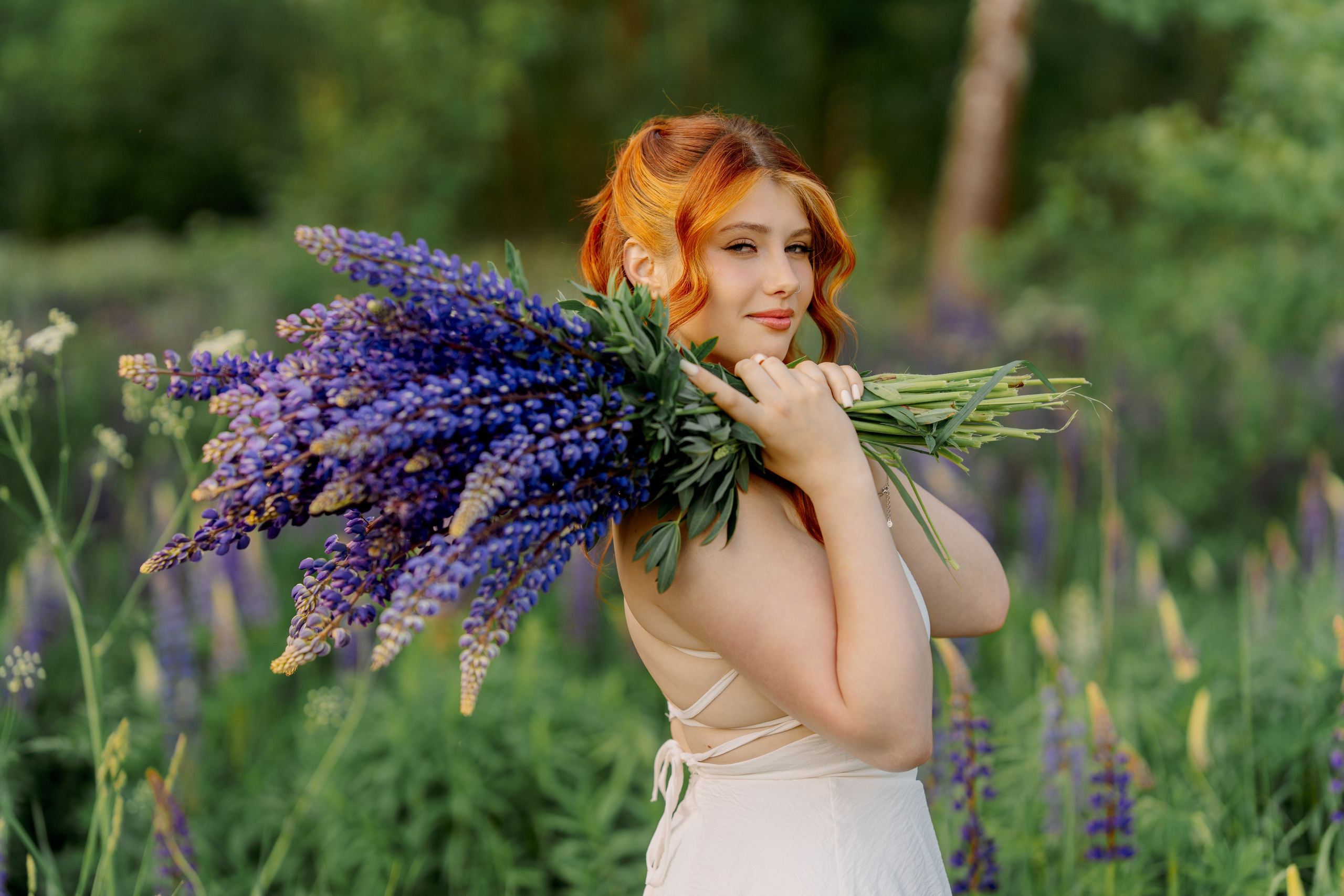 Люпины. Фотограф Юлия Попова