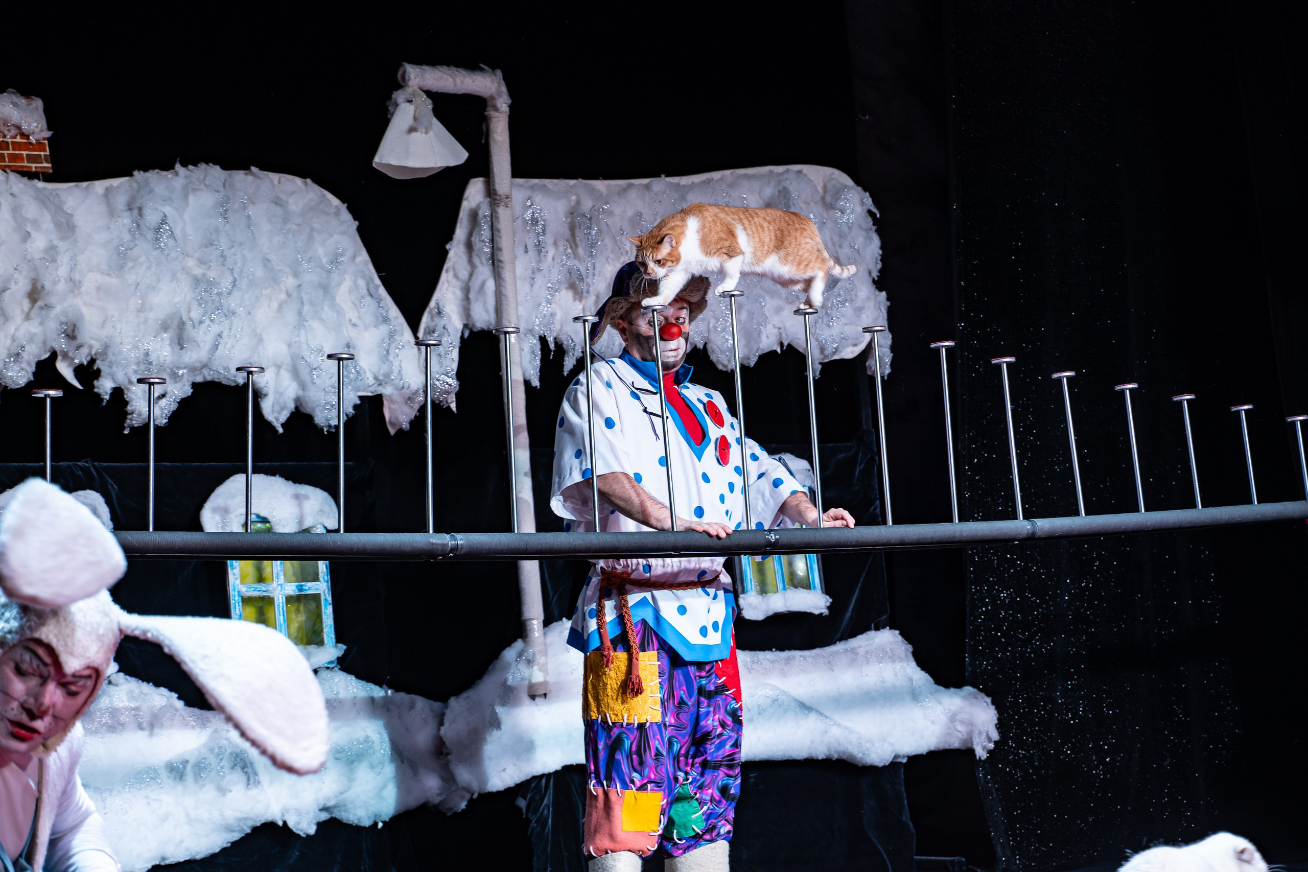 Театр Куклачева и его закулисье. Разноплановый фотограф в Москве