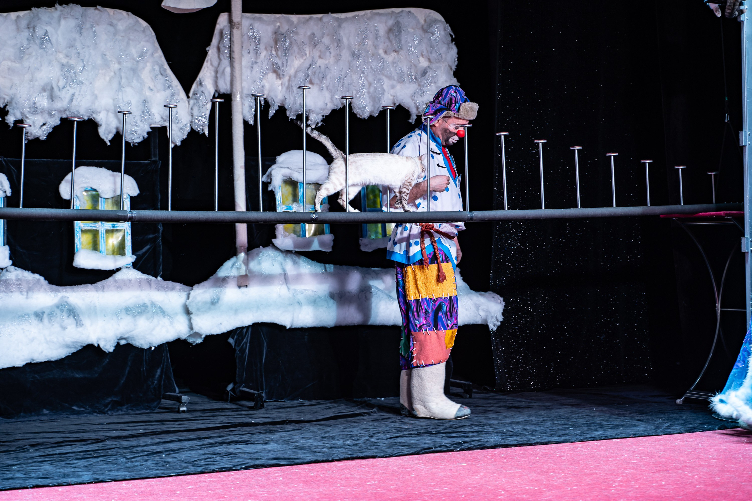 Театр Куклачева и его закулисье. Разноплановый фотограф в Москве