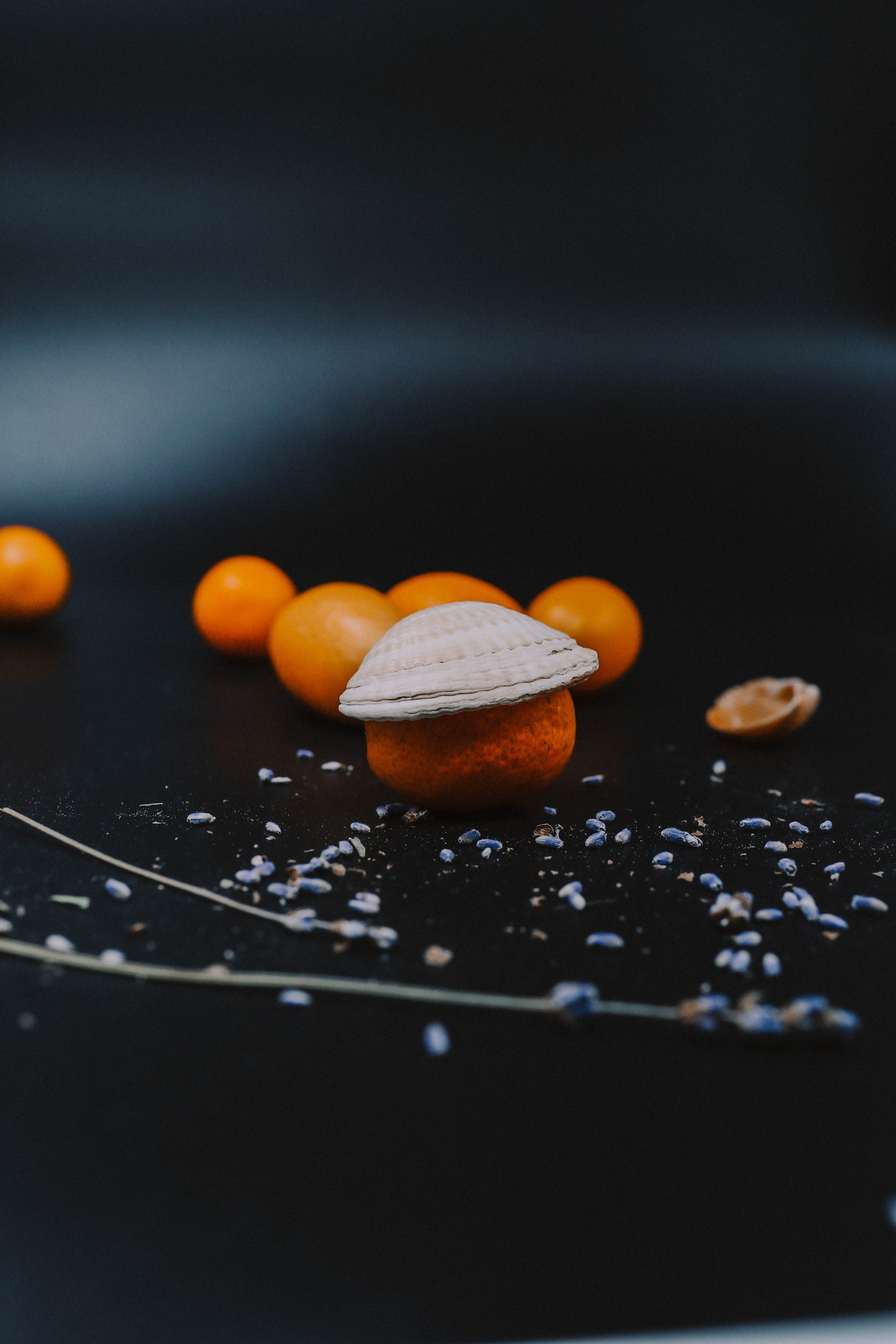 Предметная съемка. Твой снимок СПб