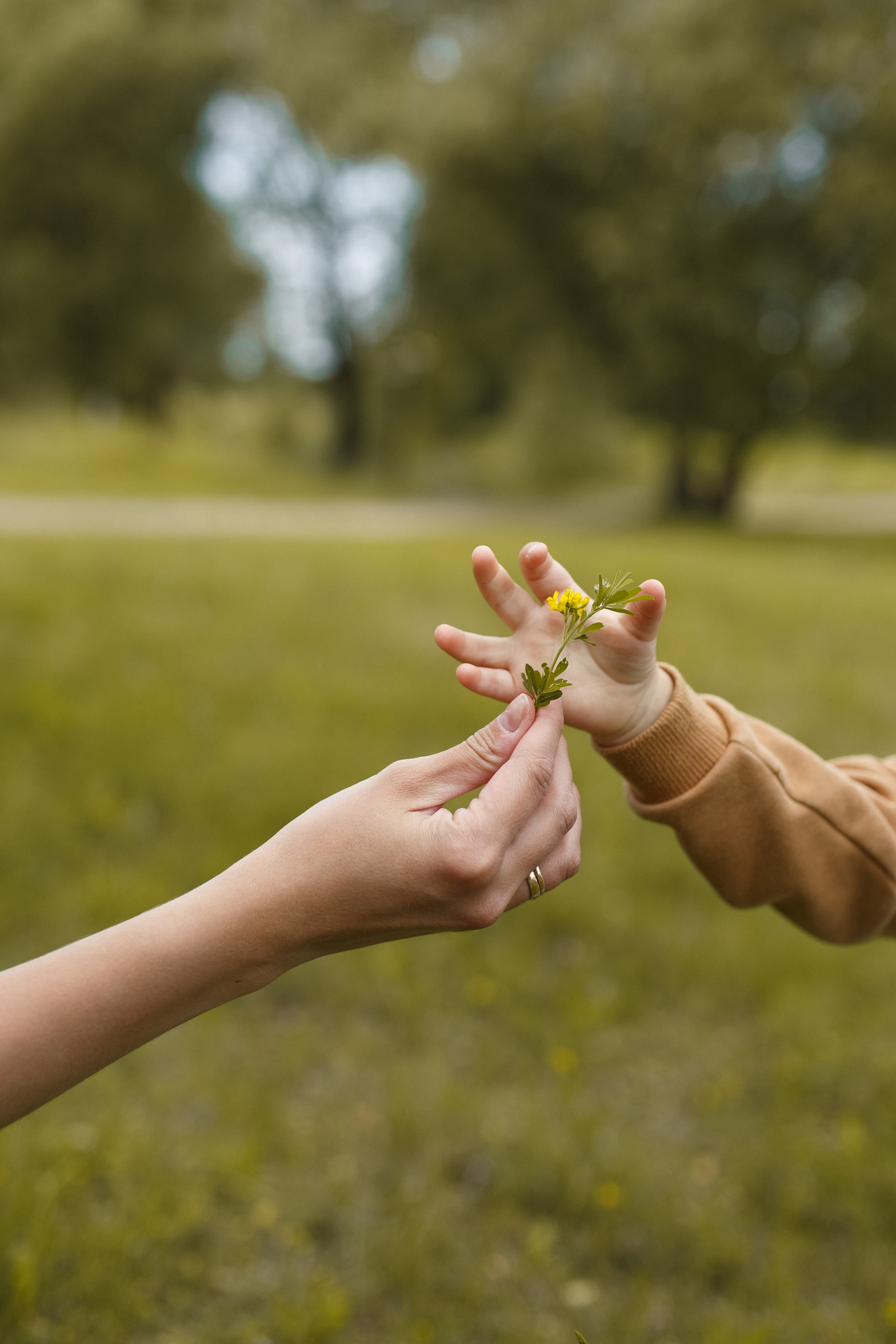 Алина с семьей. Семейный и женский фотограф в Москве/Твери. Меня зовут Яна Гош