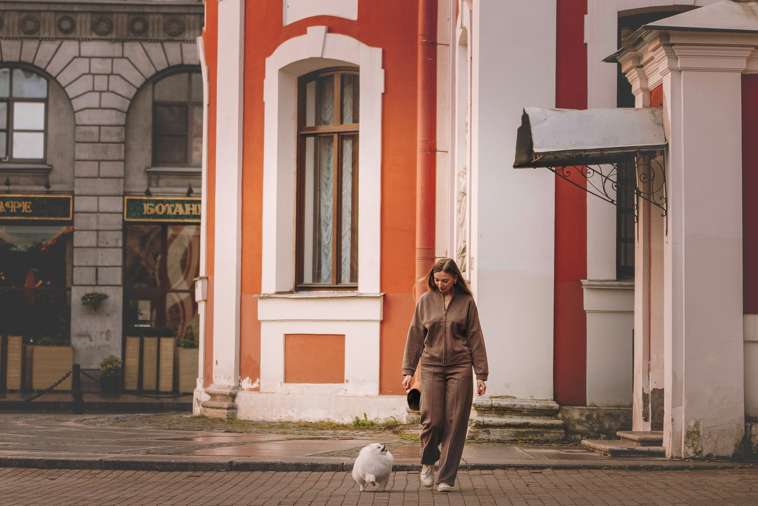 Фотосессия с померанским шпицем. Фотограф анималист в Спб недорого Олеся Майорова