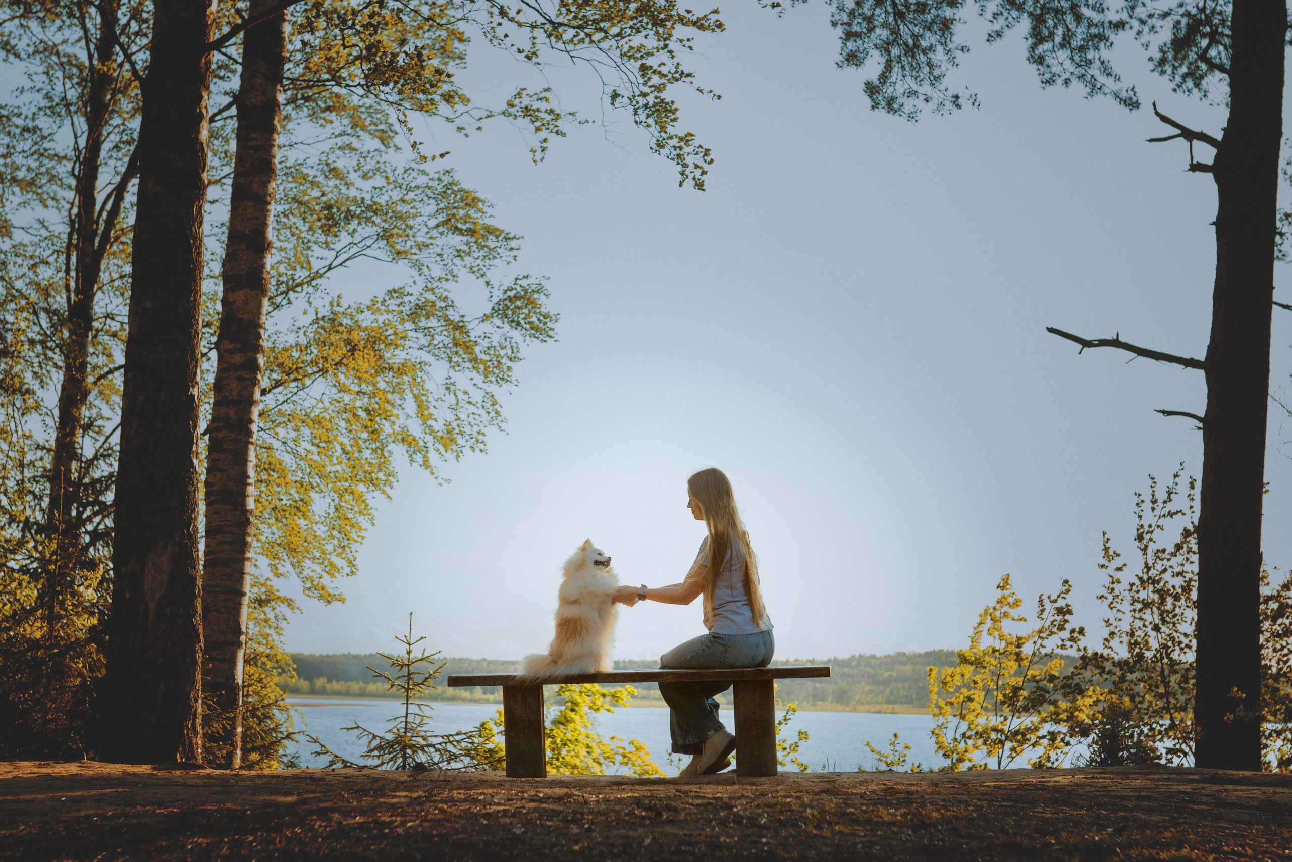 Фотосессия с собачкой в лесу. Фотограф анималист в Спб недорого Олеся Майорова