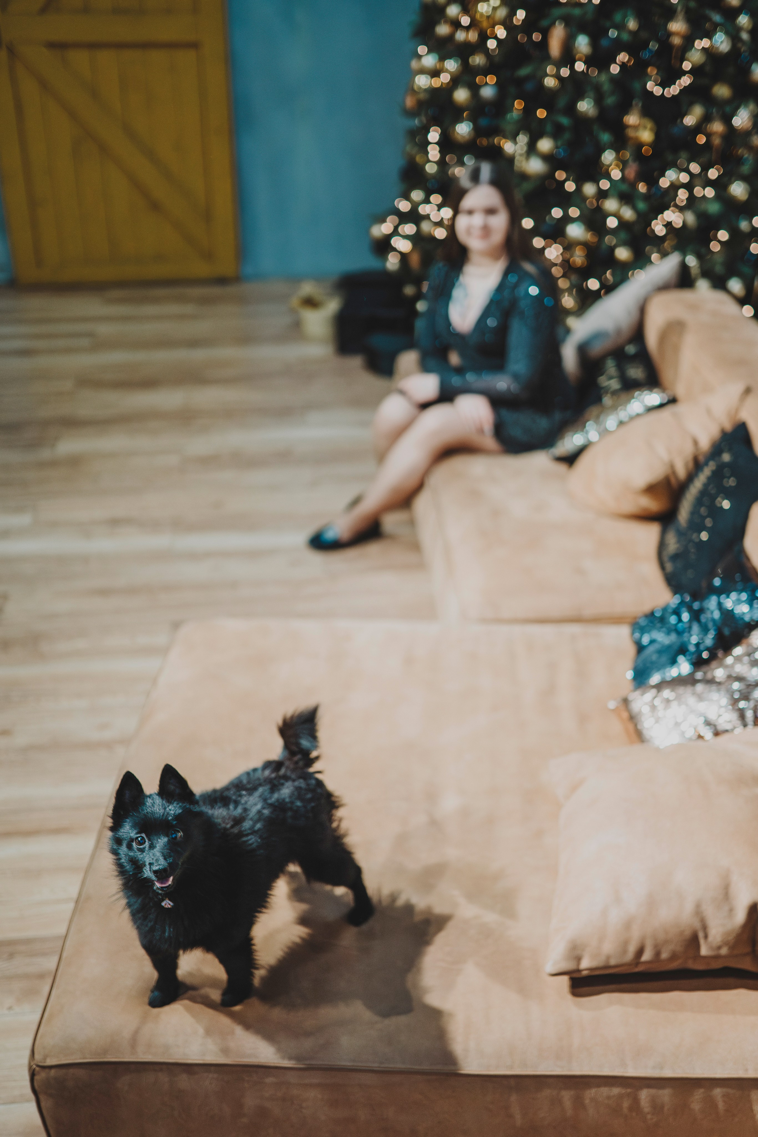 Аня, Андуин и Тесс. Фотограф анималист в Спб недорого Олеся Майорова