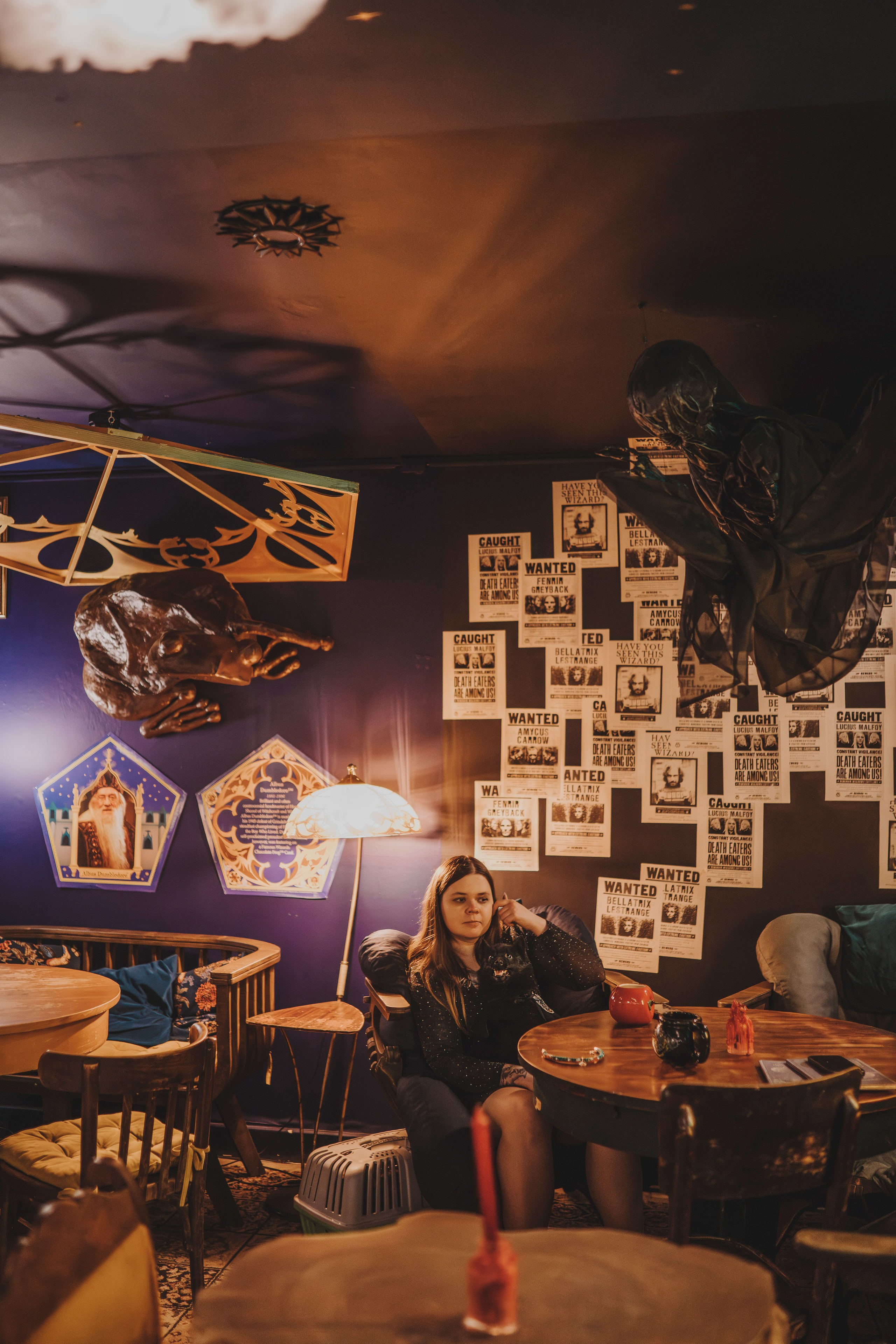 Аня, Андуин и Тесс. Фотограф анималист в Спб недорого Олеся Майорова