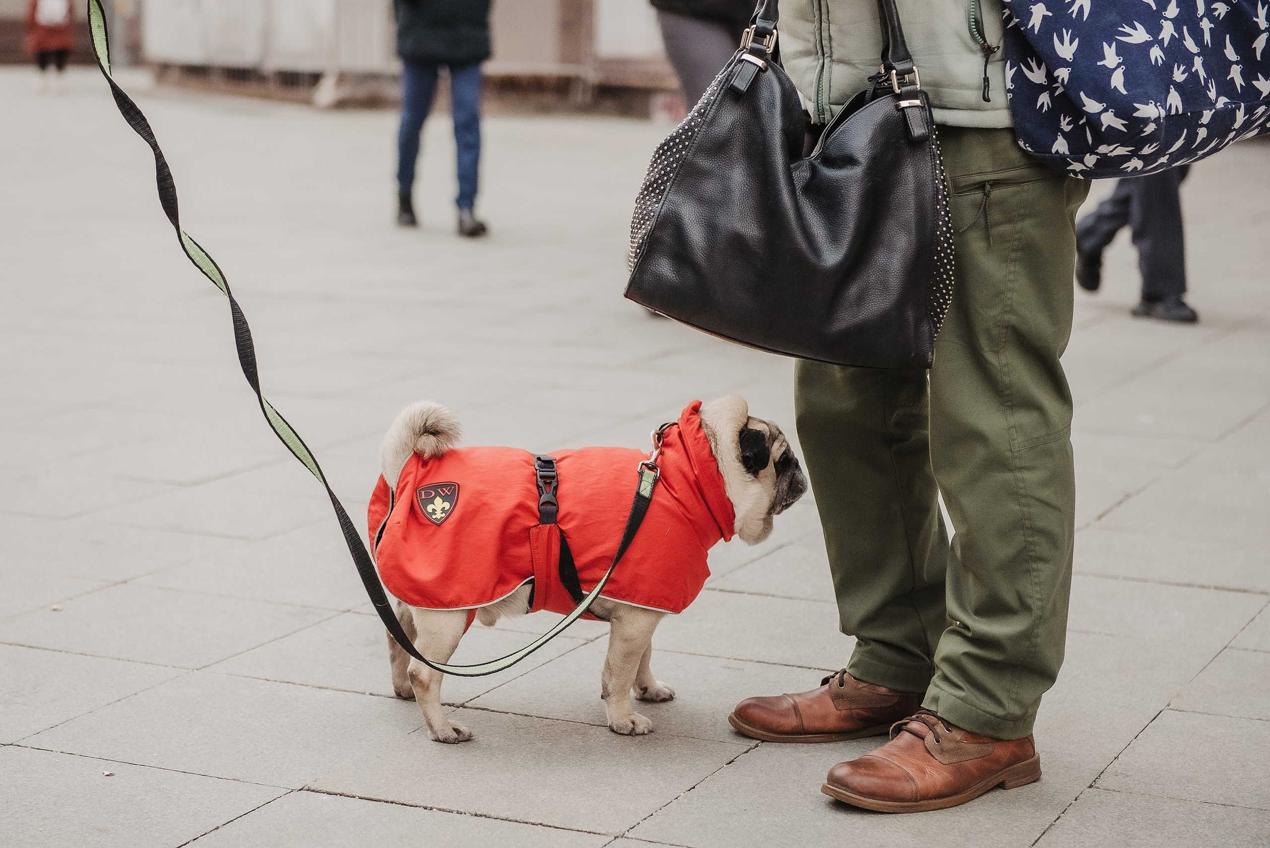 Ольга и Потапум. Прогулка к чайному дому. Семейный Фотограф в Москве Ирина Хохлова