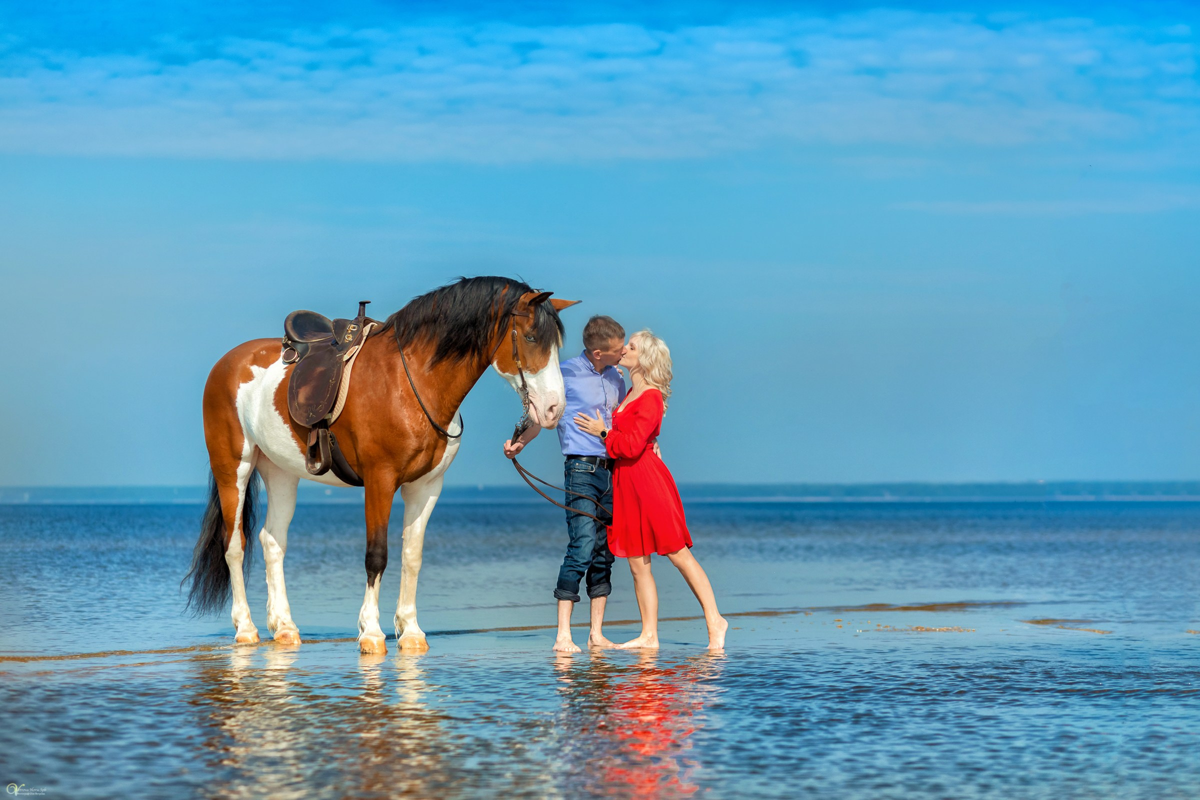 Фотосессии с лошадьми летом. Фотограф женский и мужской портрет Санкт-Петербург
