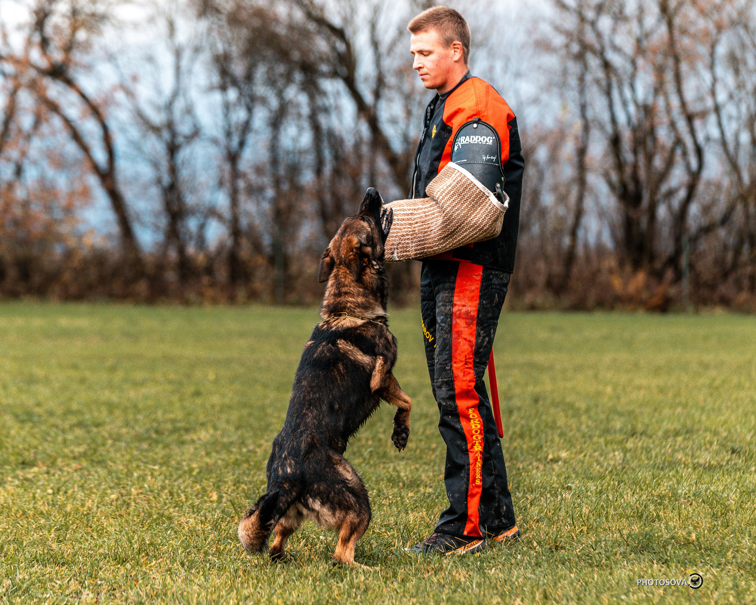 МЫ — КОМАНДА (соревнования) OKD, BH, IBGH, IGP. Фотограф-анималист, семейный фотограф в Москве и Подмосковье. Фотосъёмка кинологических дисциплин