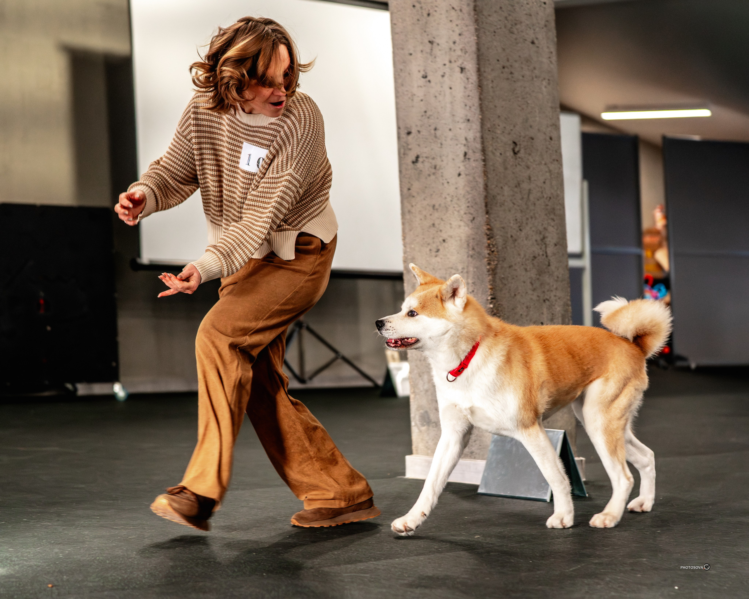 ТЫ И Я (соревнования по ралли-обидиенс). Фотограф-анималист, семейный фотограф в Москве и Подмосковье. Фотосъёмка кинологических дисциплин