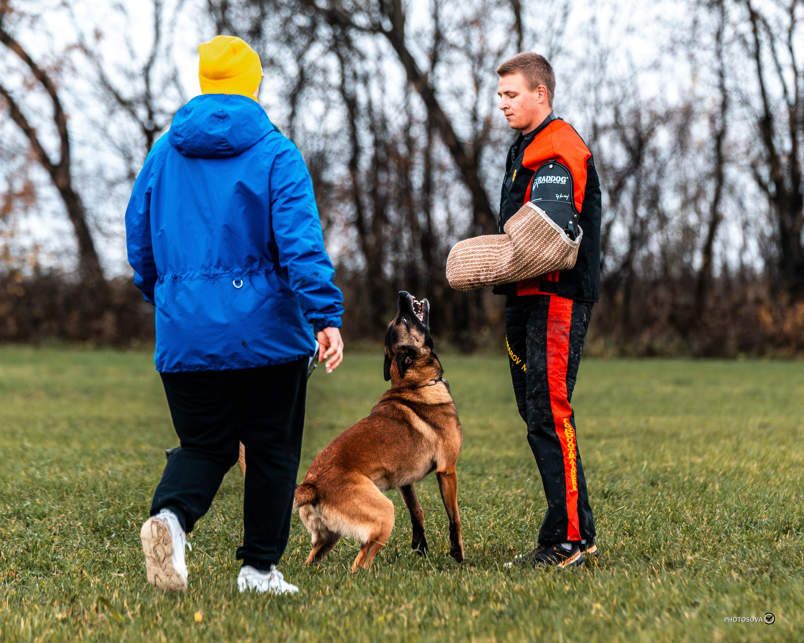 МЫ — КОМАНДА (соревнования) OKD, BH, IBGH, IGP. Фотограф-анималист, семейный фотограф в Москве и Подмосковье. Фотосъёмка кинологических дисциплин