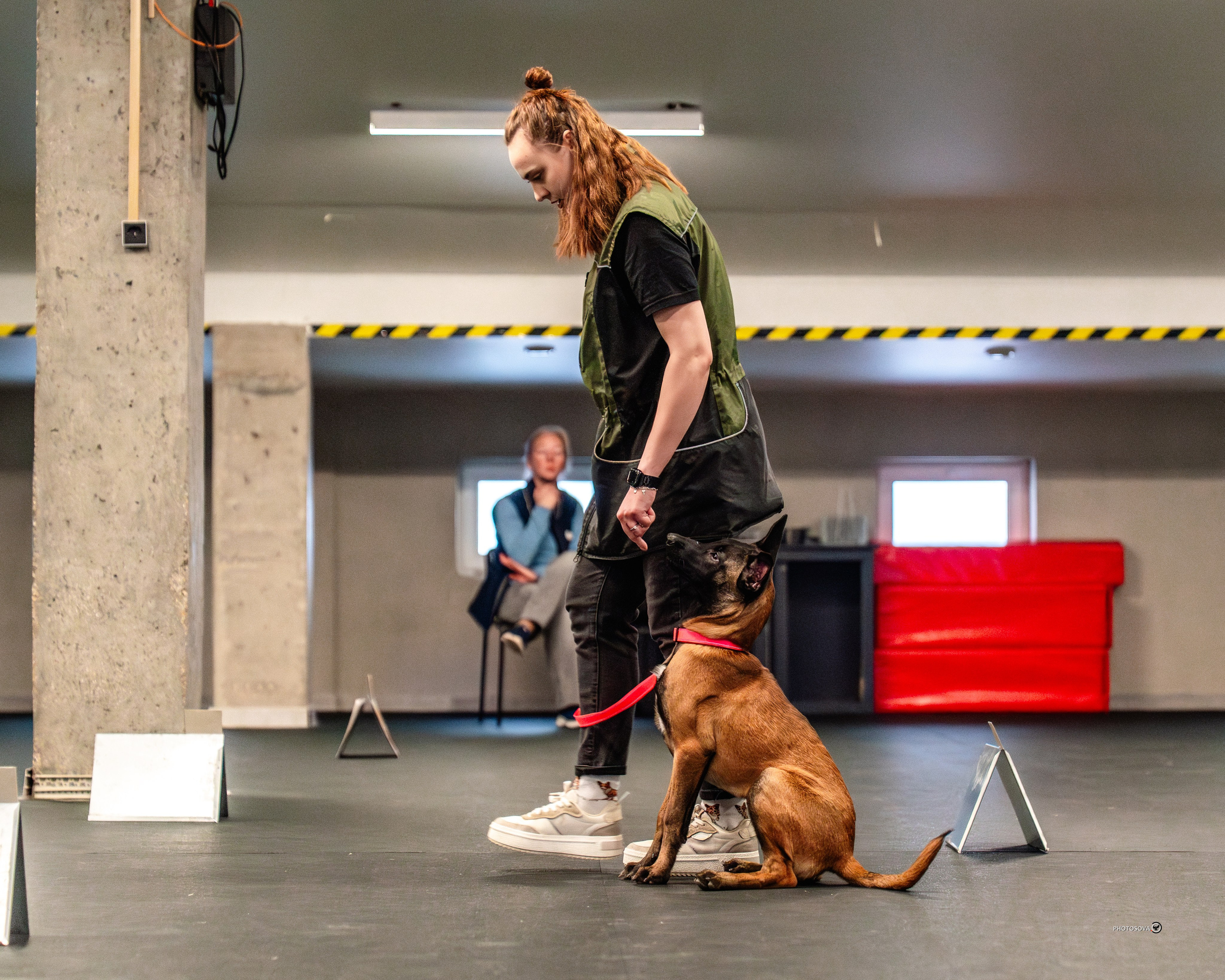 ТЫ И Я (соревнования по ралли-обидиенс). Фотограф-анималист, семейный фотограф в Москве и Подмосковье. Фотосъёмка кинологических дисциплин