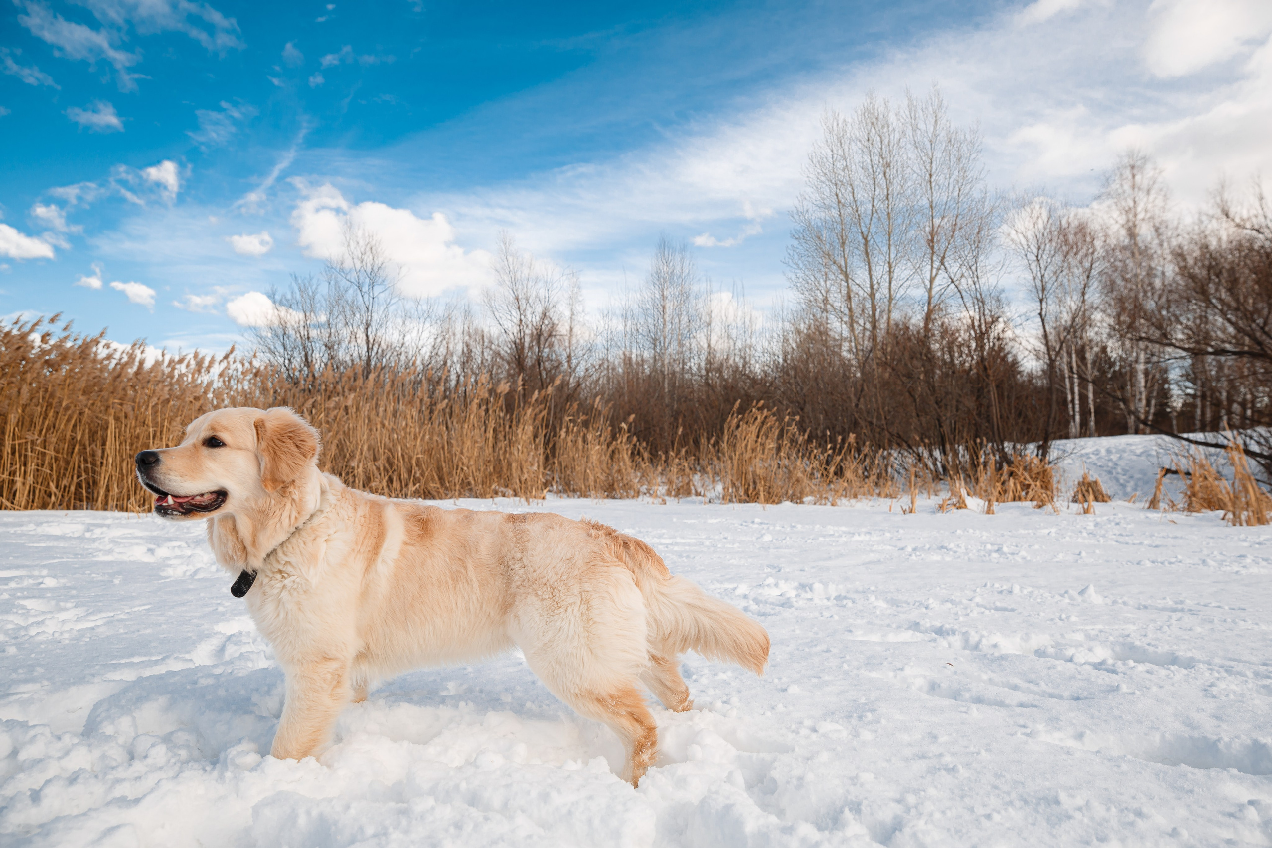 Лёша и Настя. Крылова Светлана Фотограф Челябинск