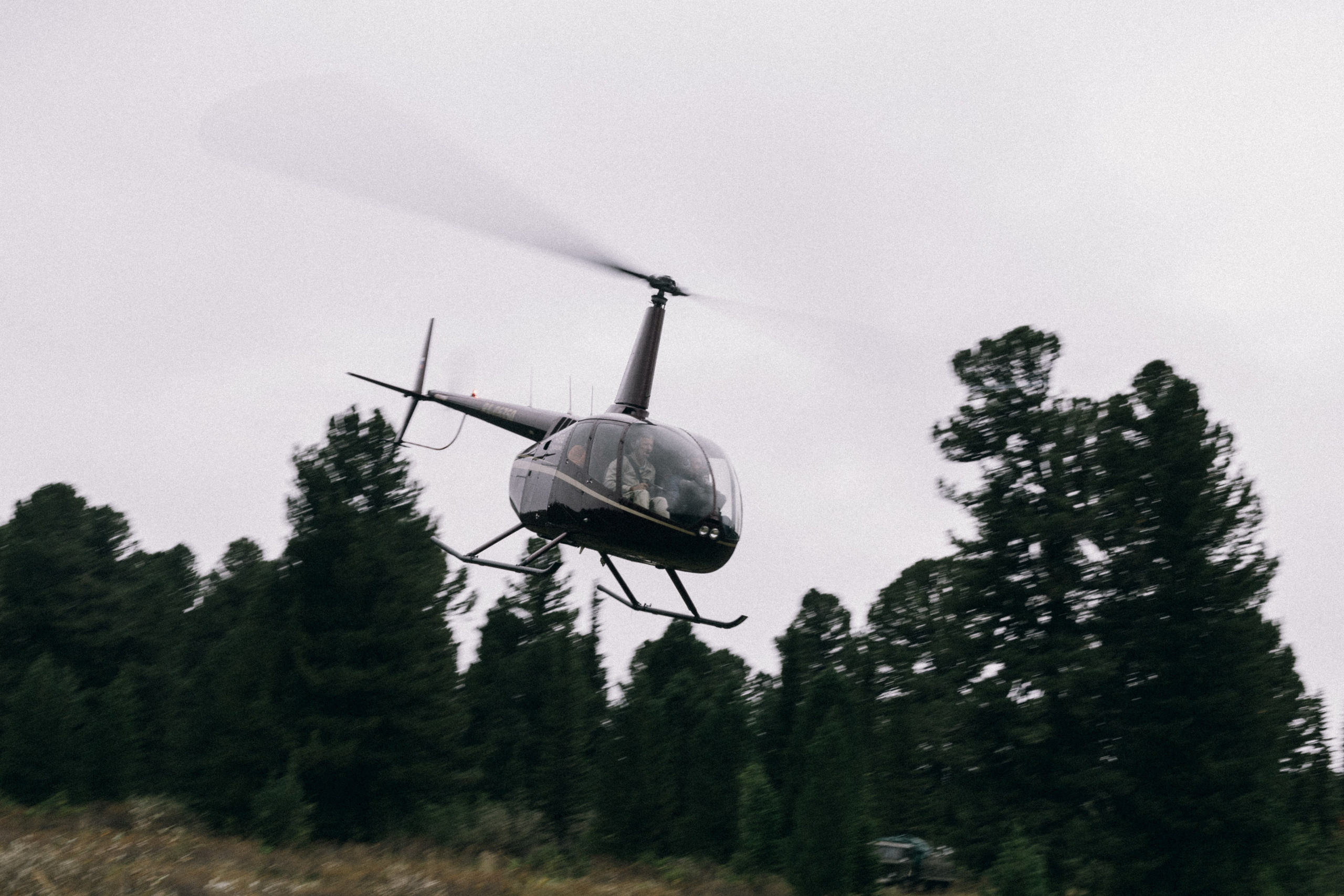 Алтай, природа и эстетика. Александр Чернин. Семейный и событийный фотограф