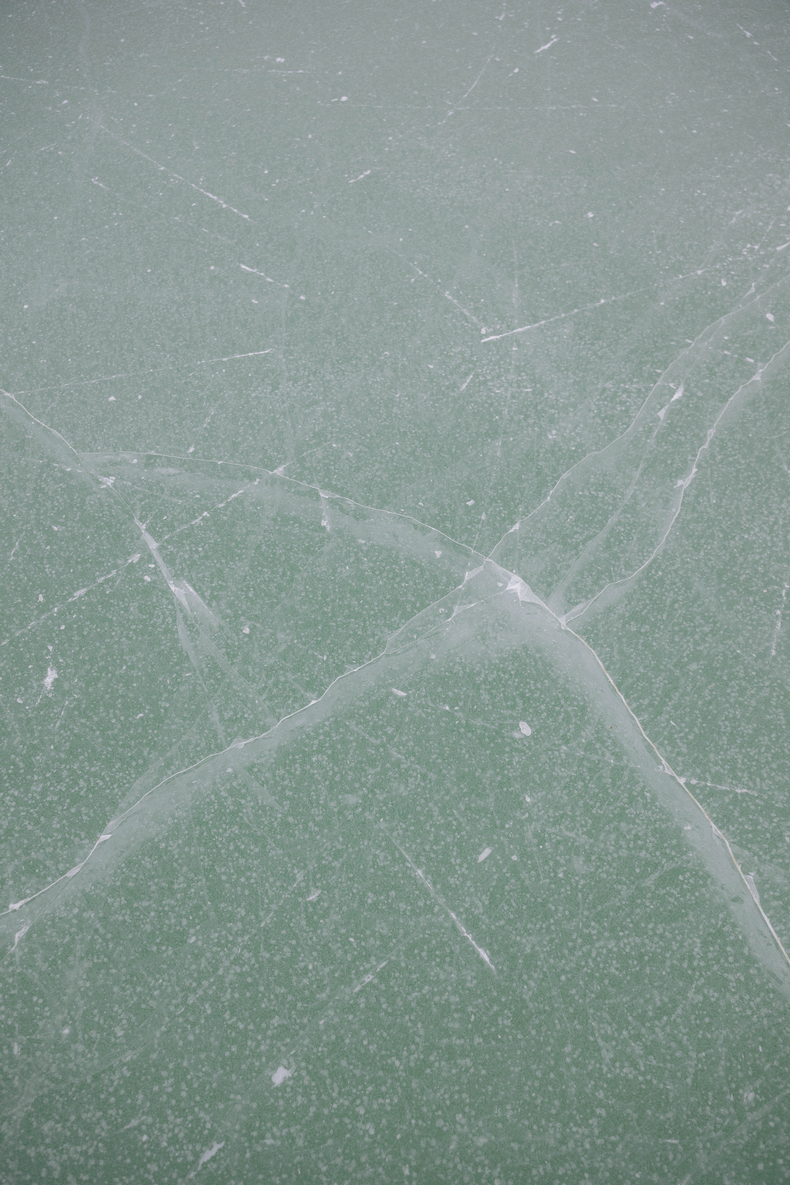 Женя. Свадебный, семейный фотограф в Рязани Лена Брант