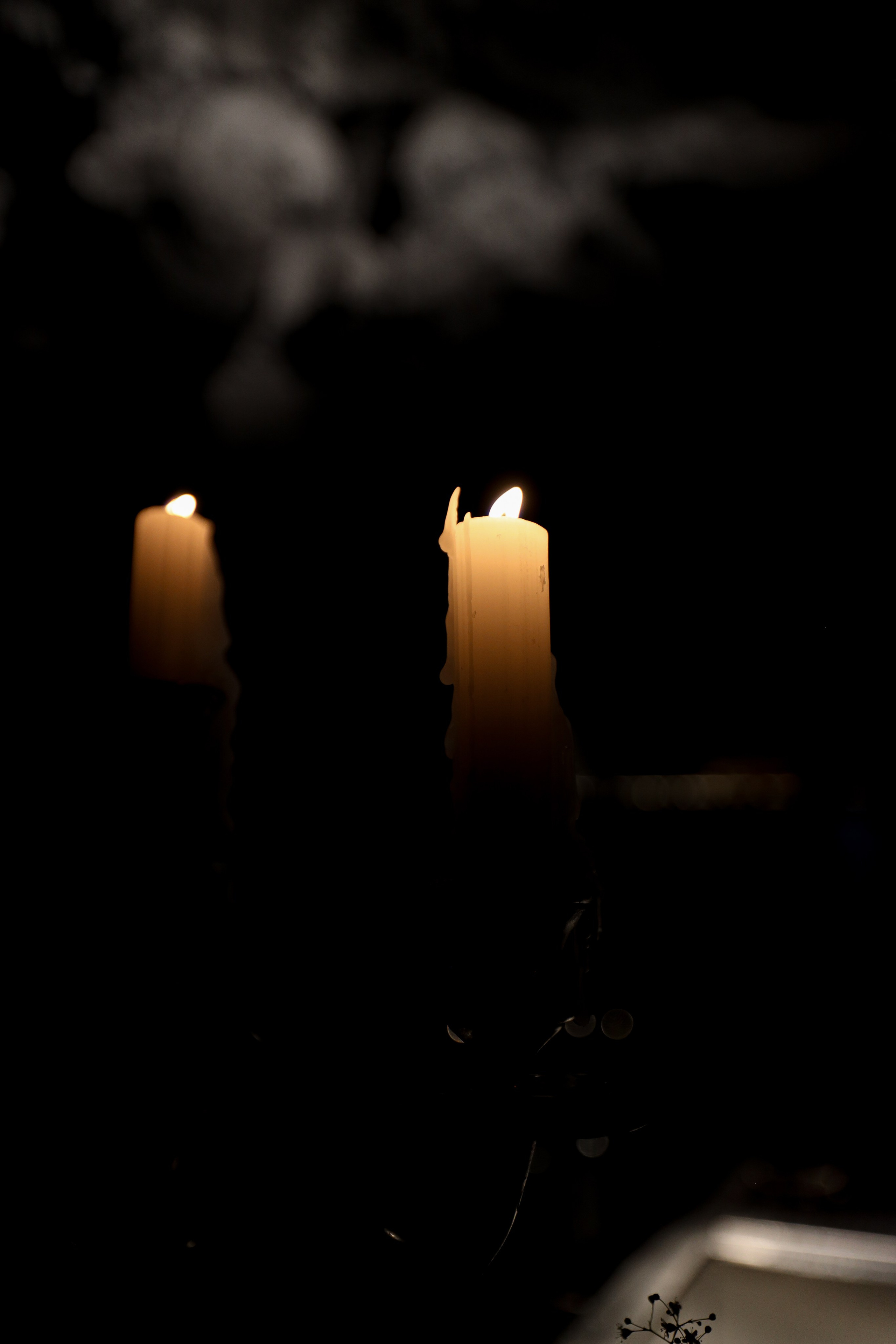 Gastrodvor 3YEARS. Дженбаз Павел — фотограф в Ялте