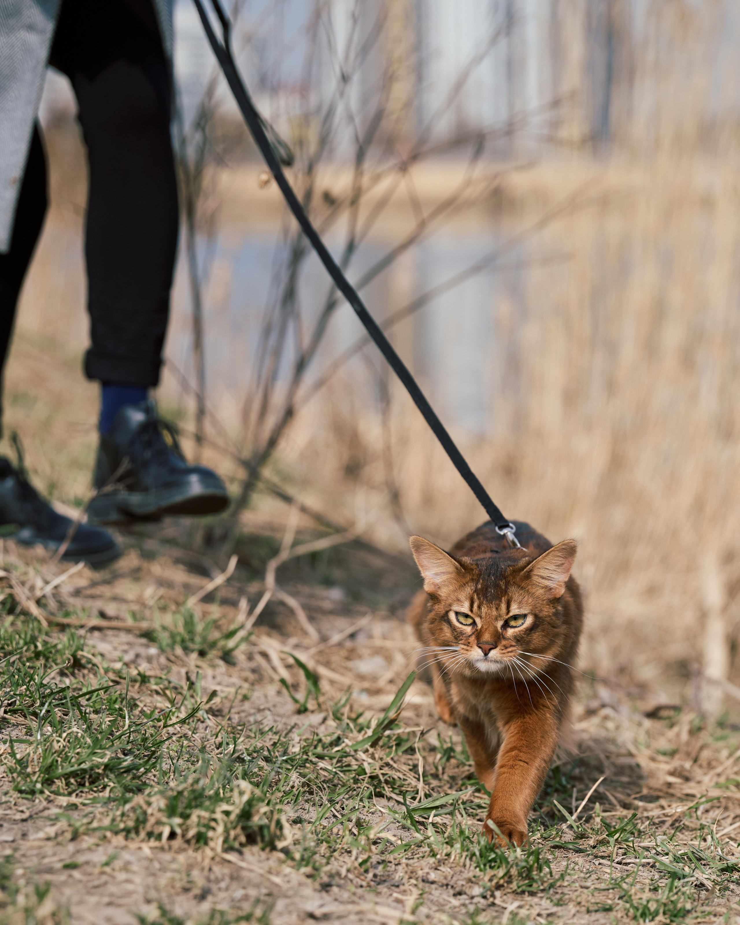 Rufus. Творческий фотограф в Санкт-Петербурге — Никита Шохенмайер