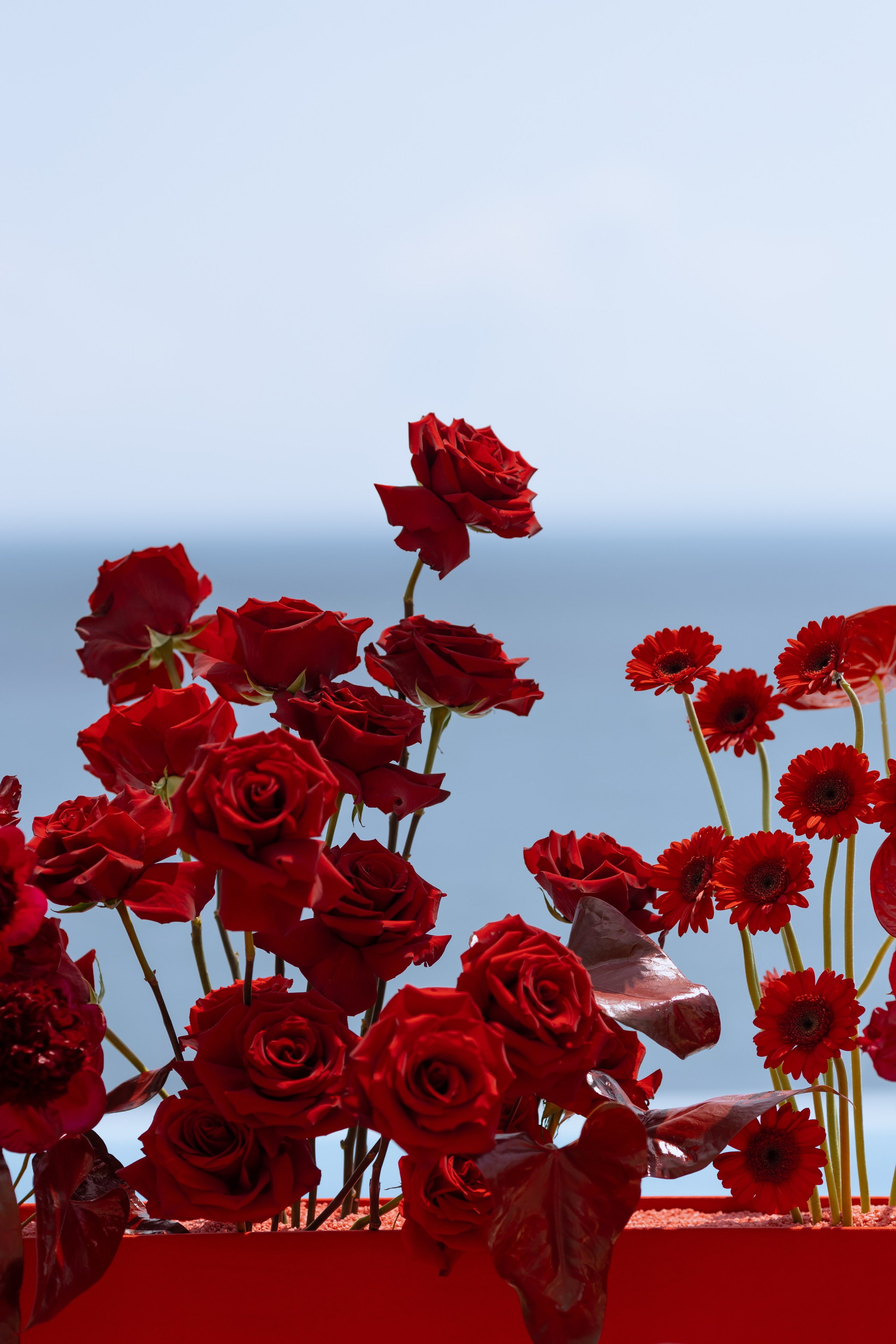 «Ты мой случайный космос в скучном небе». Свадебный фотограф Сочи Москва Дубай Снежана Магрин