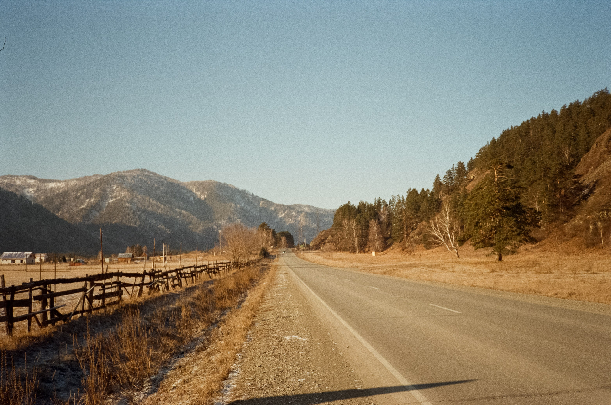 Дорога до Coffee Bus по Чемальскому тракту и Кедровый остров. Фотограф-документалист Мария Осокина