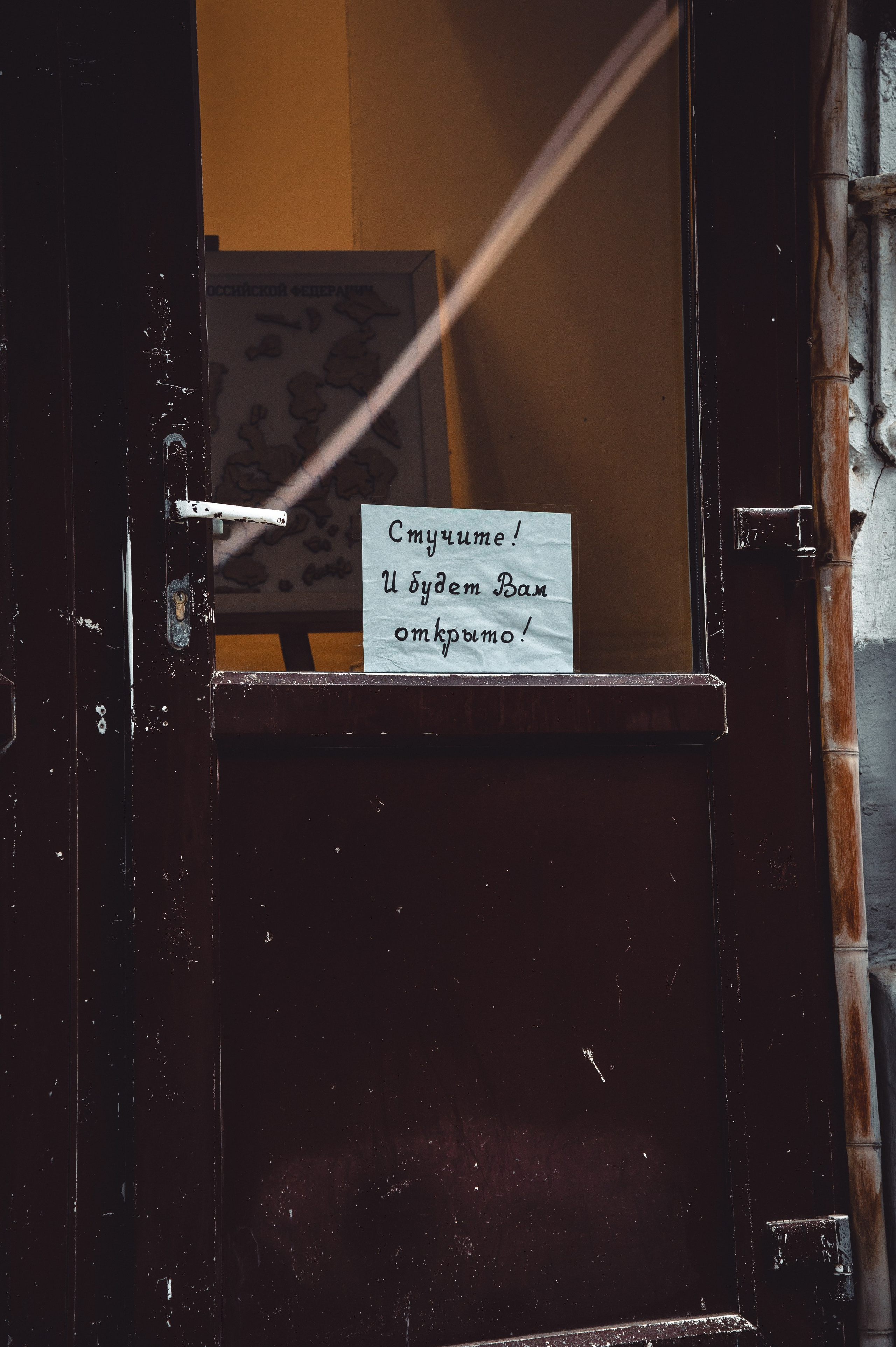 Прогулочные. Фотограф в Москве