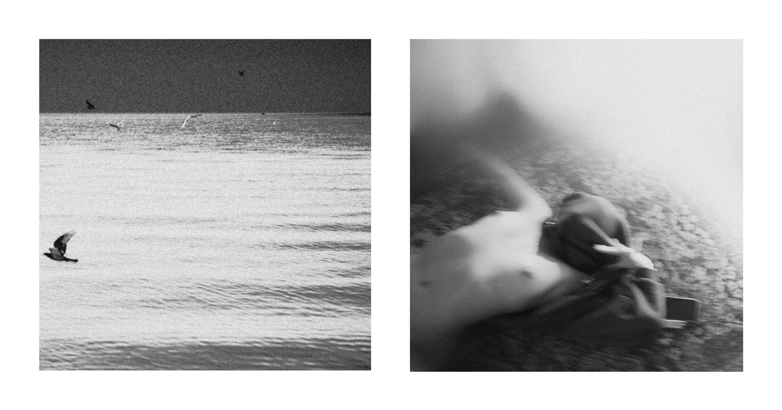 From the inside. VISUAL ARTIST · KRONGAUZ ANASTASIA