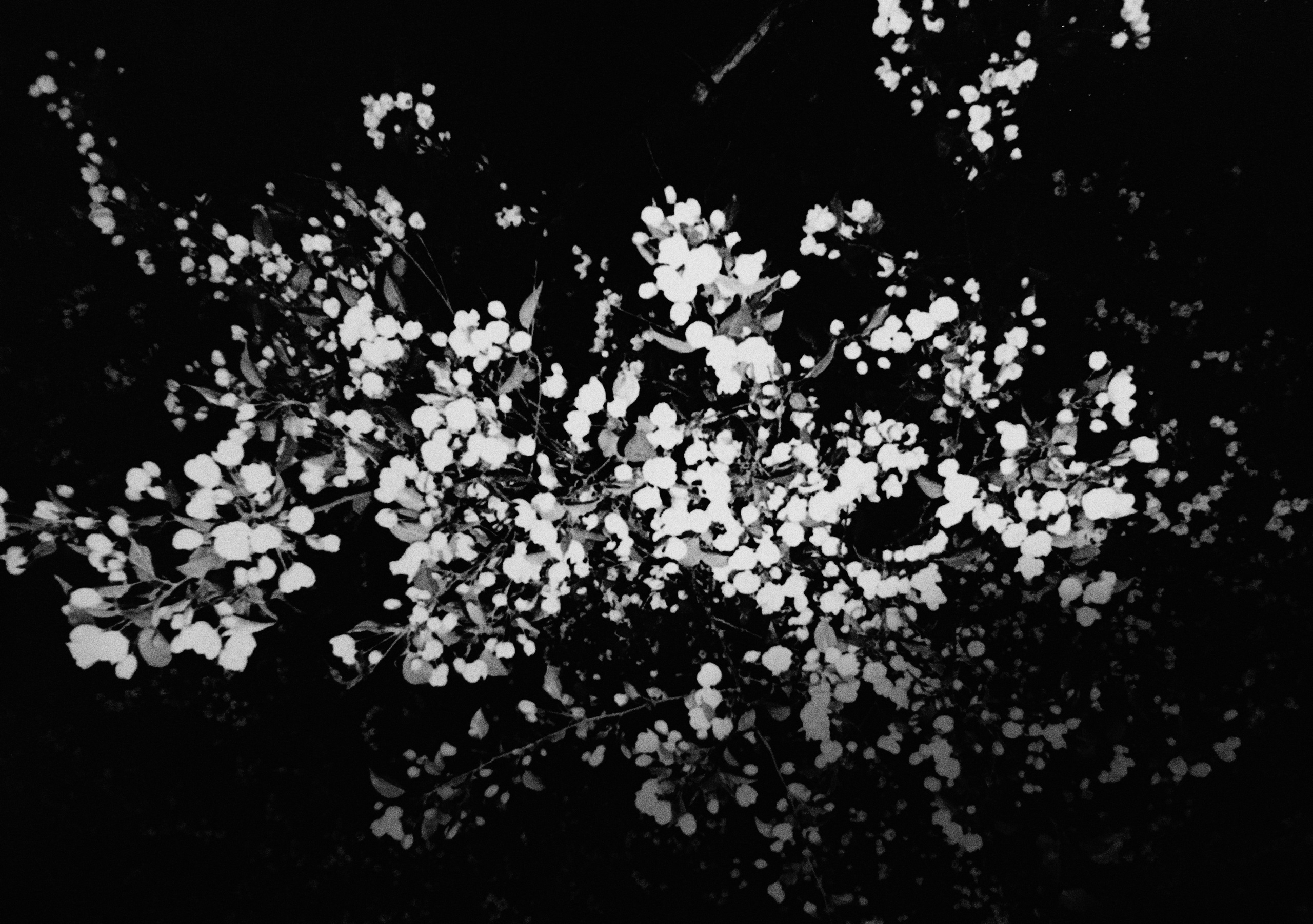 Уральское создание