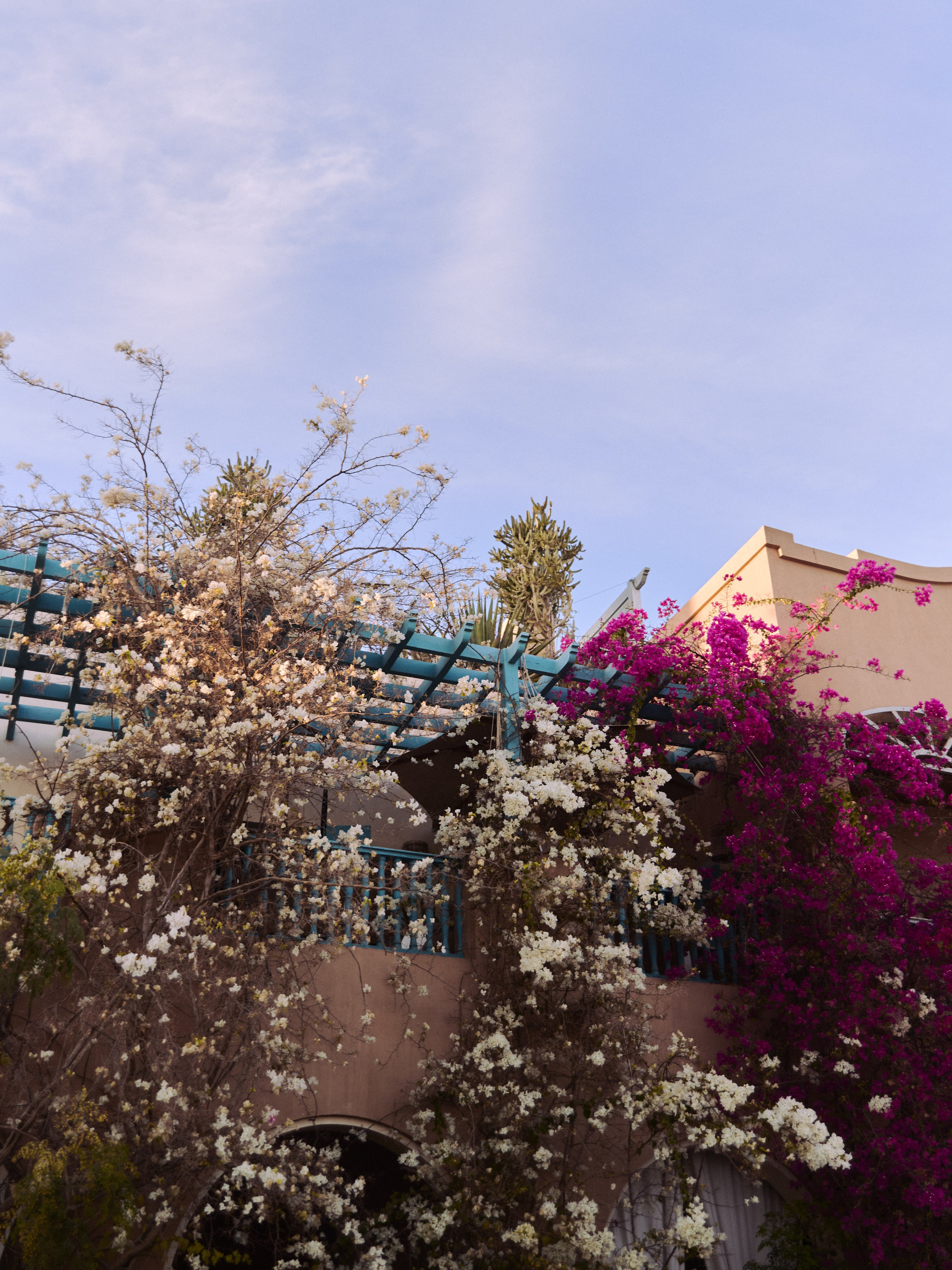 Природа сквозь. Jorgis Talè — photographer, kind person, teacher of arts and other mag