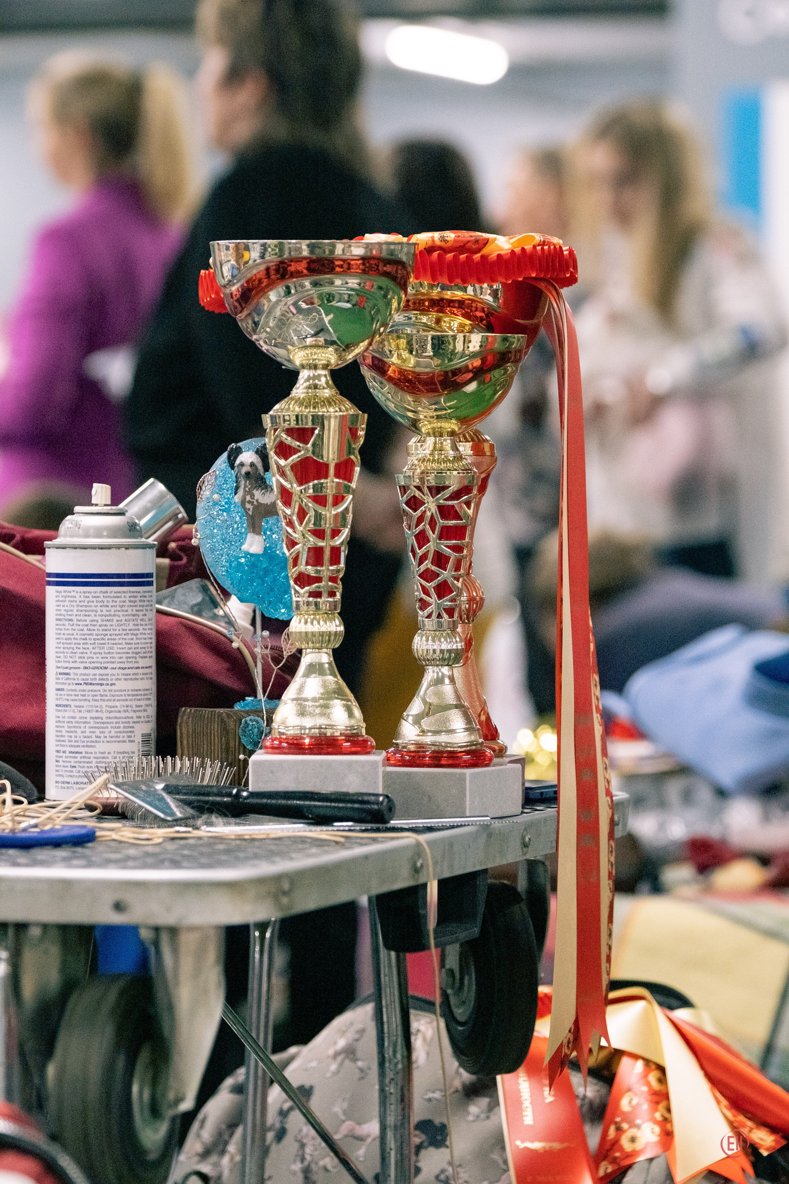 Национальная выставка китайских хохлатых собак 2023. Питомник китайских хохлатых собак Poale Ell: купить щенка