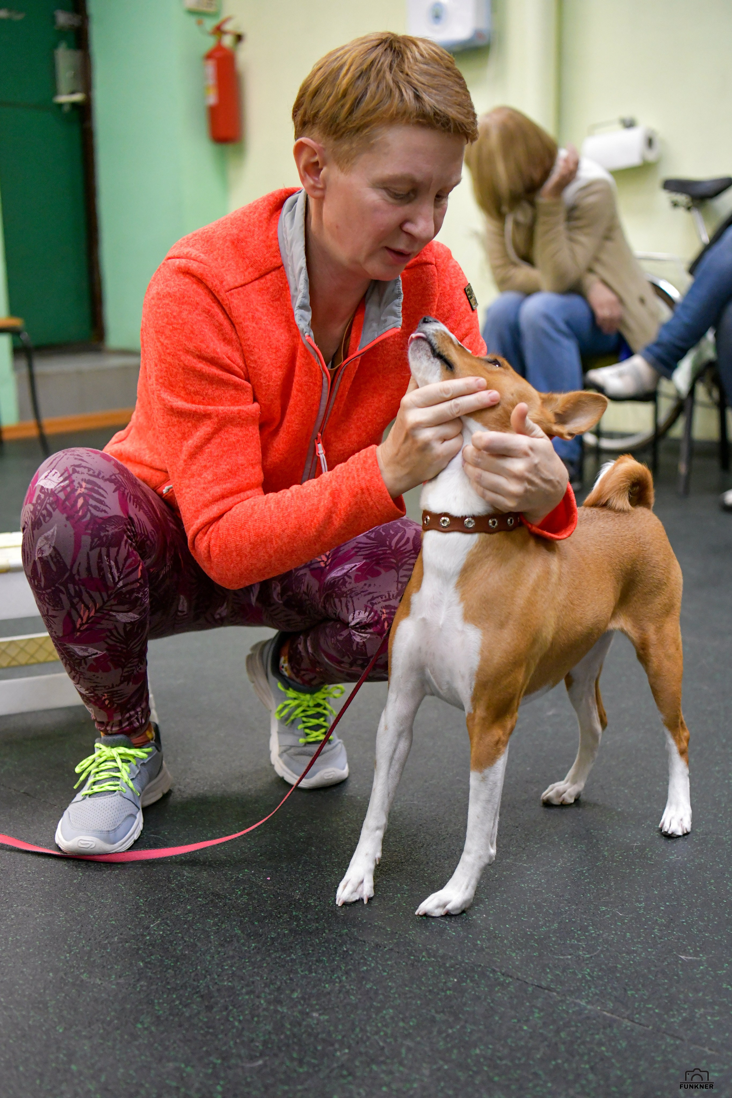 Кинологический клуб «Бодрый хвост». Свой взгляд через объектив